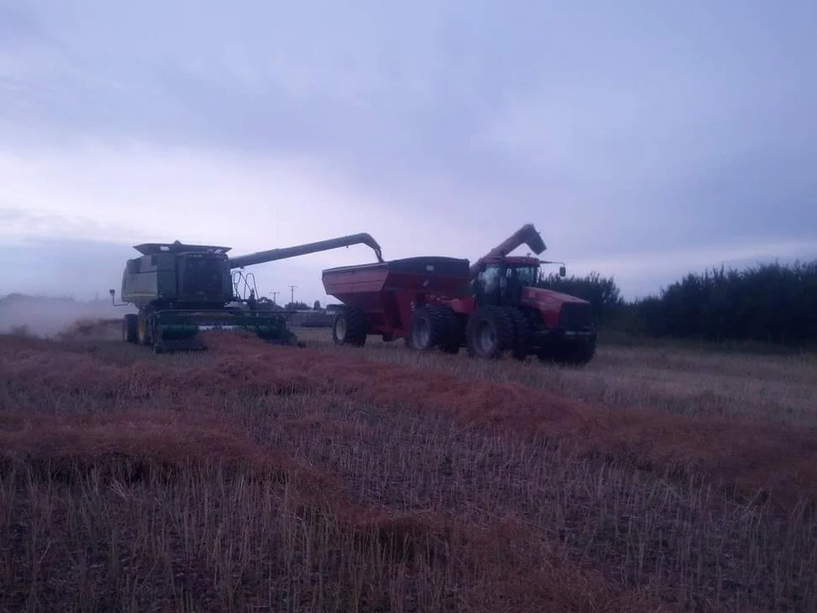 Locally Sourced Livestock Feed