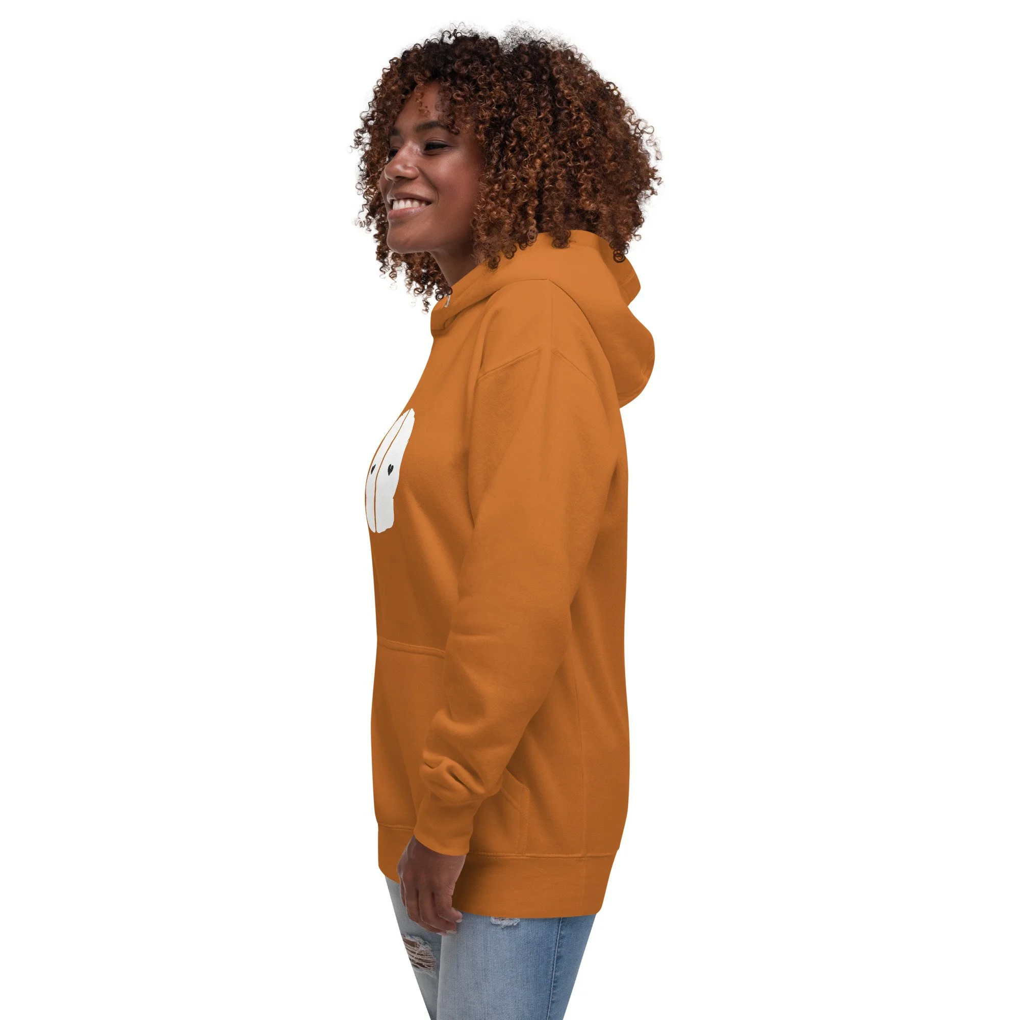 unisex-premium-pullover-hoodie-adobe-left-front-69fb6f371e860.jpg