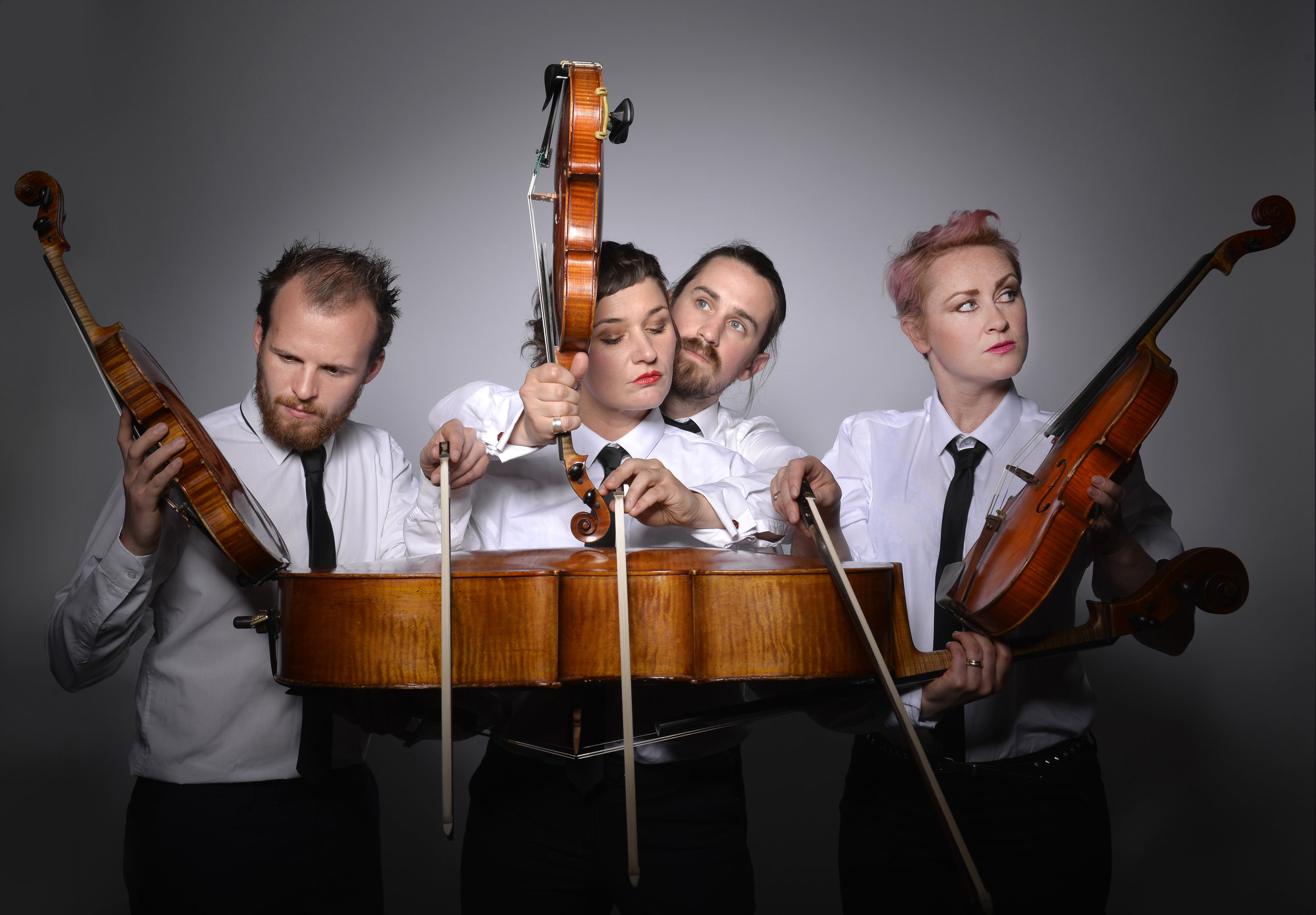 bowjangles_0371b_photo by steve ullathorne.jpg