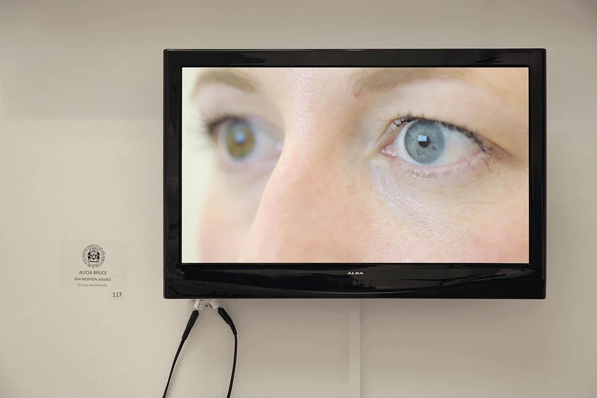 Sim Scenario, Installation, Royal Scottish Academy, Edinburgh, 2014
