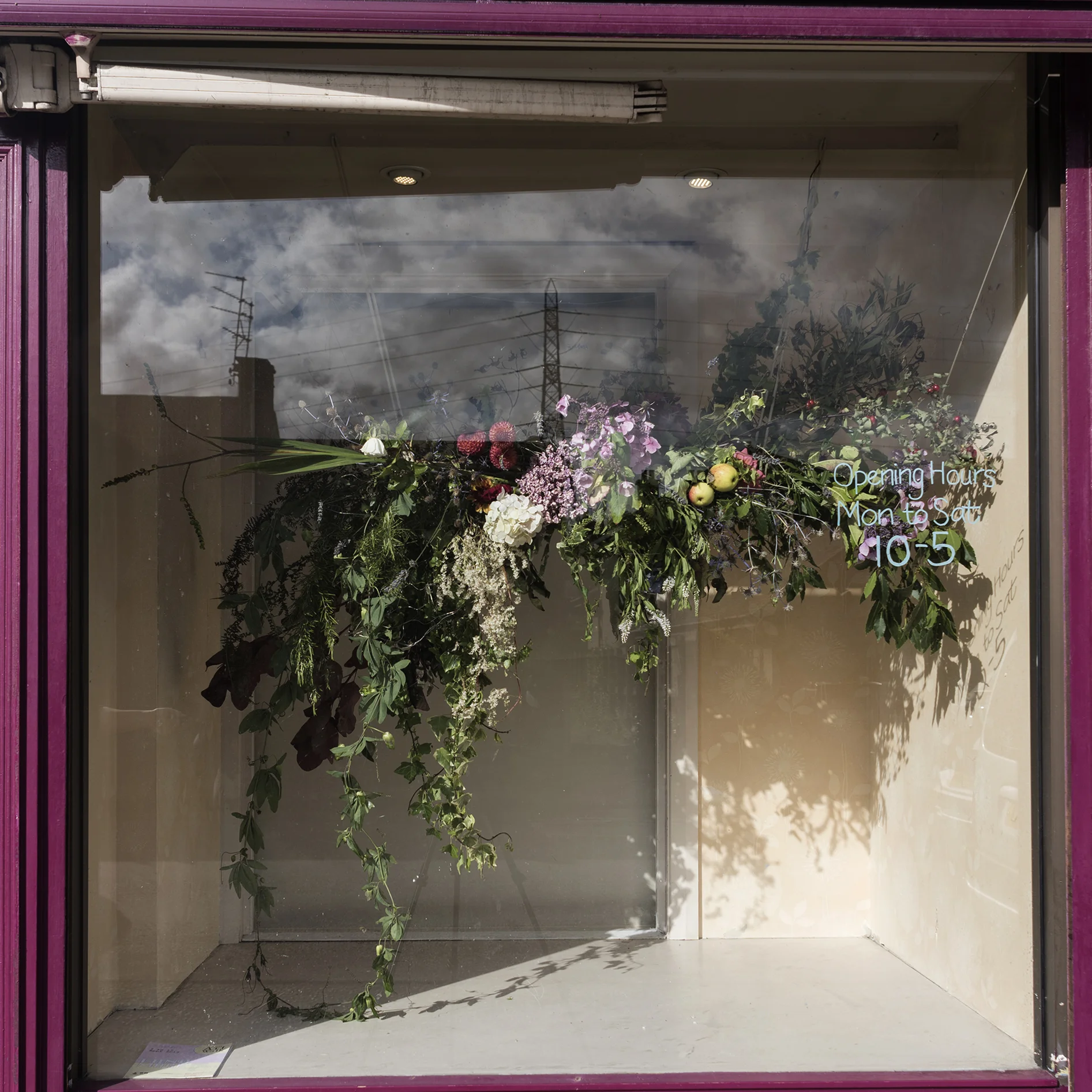 ‘Glasshouse’ A botanical collaboration. Friday 6th September 2019 Flowers by Jenny Bell Harman, Photograph by Alicia Bruce
