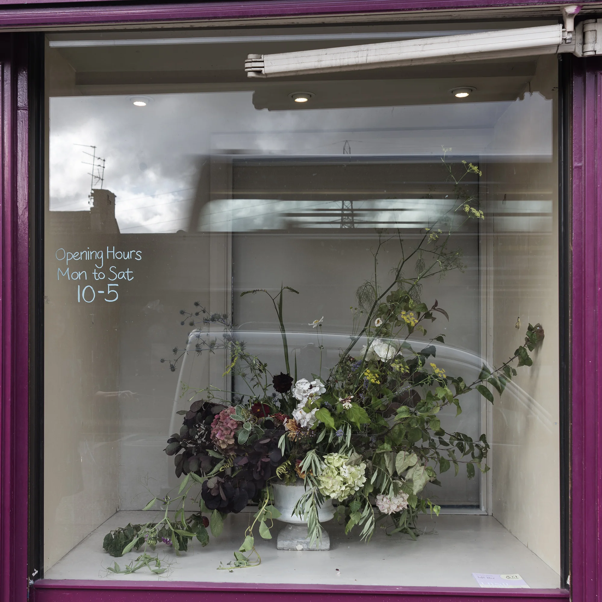 ‘Glasshouse’ Friday 6th September 2019Arrangement by Jenny Bell Harman, Photograph by Alicia Bruce