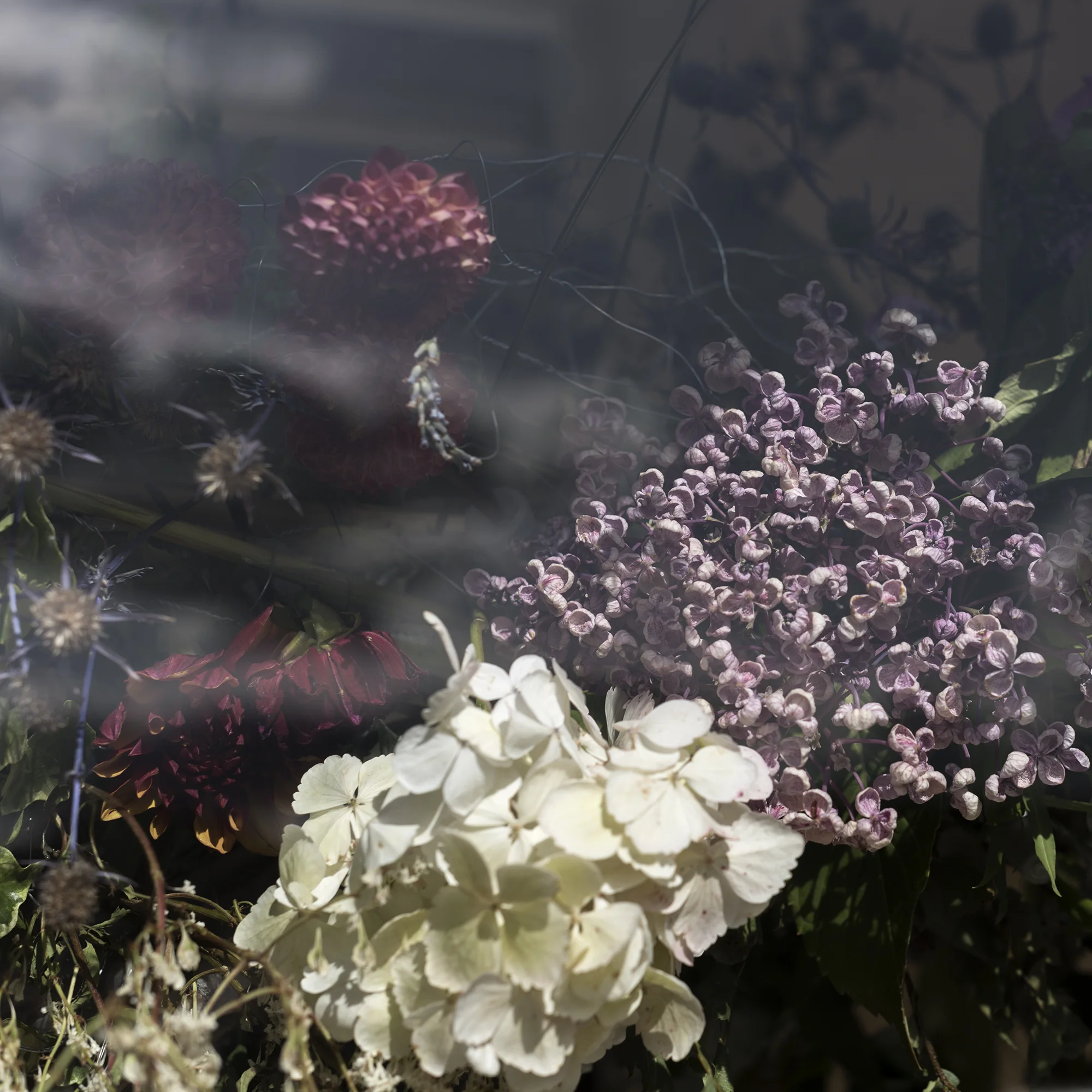 ‘Glasshouse’ detail. Saturday 7 September 2019