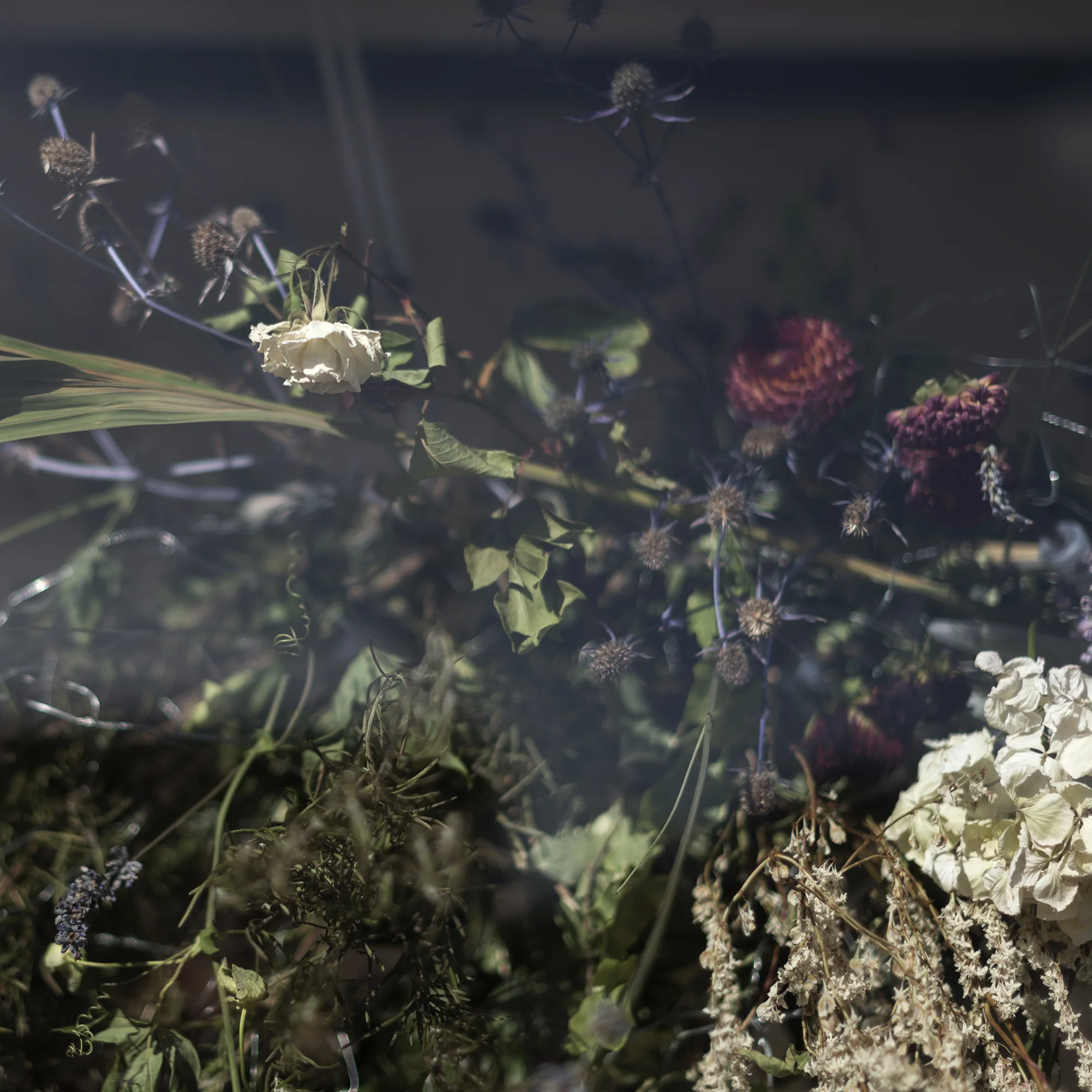 ‘Glasshouse’ detail. Sunday 8th September 2019