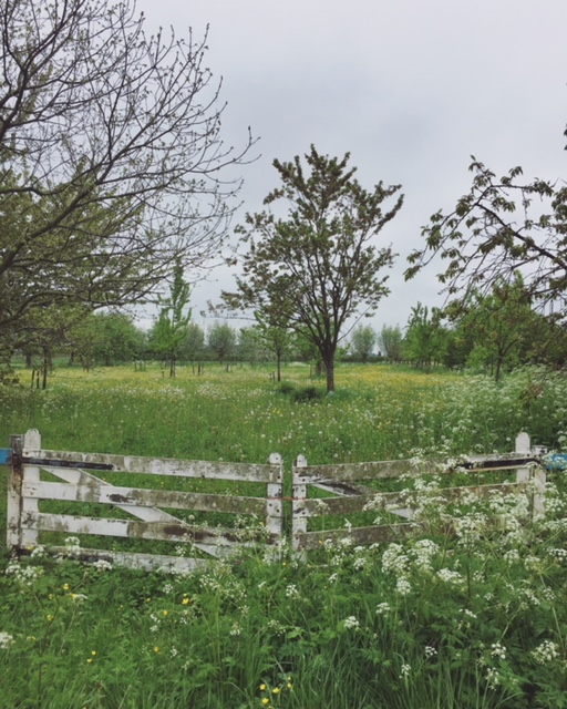 5th May 2017: Ophemert – Tiel