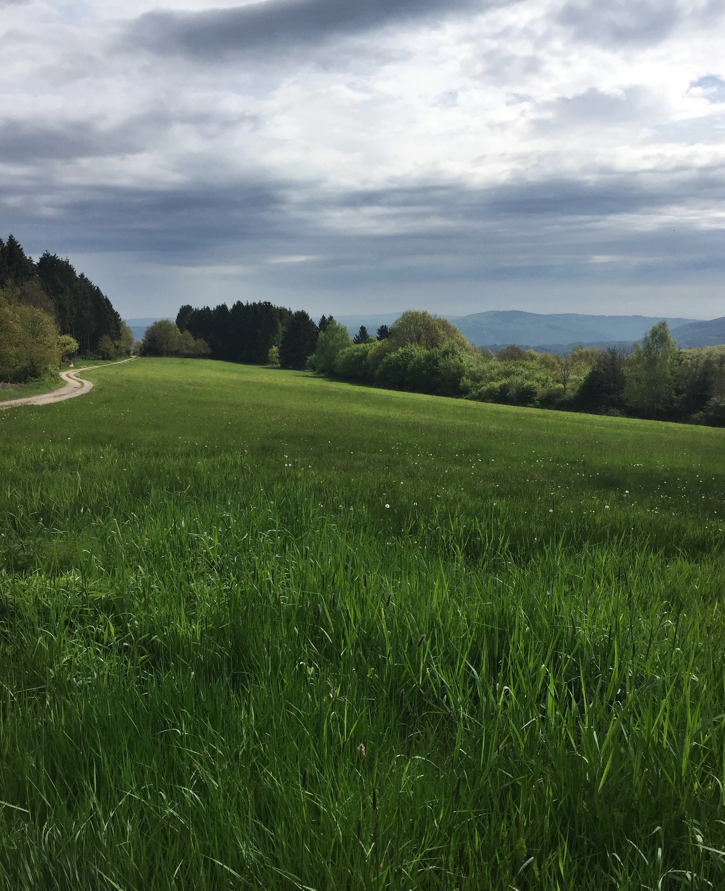 11th May 2017: Bacharach – Bingen – Frankfurt, Germany