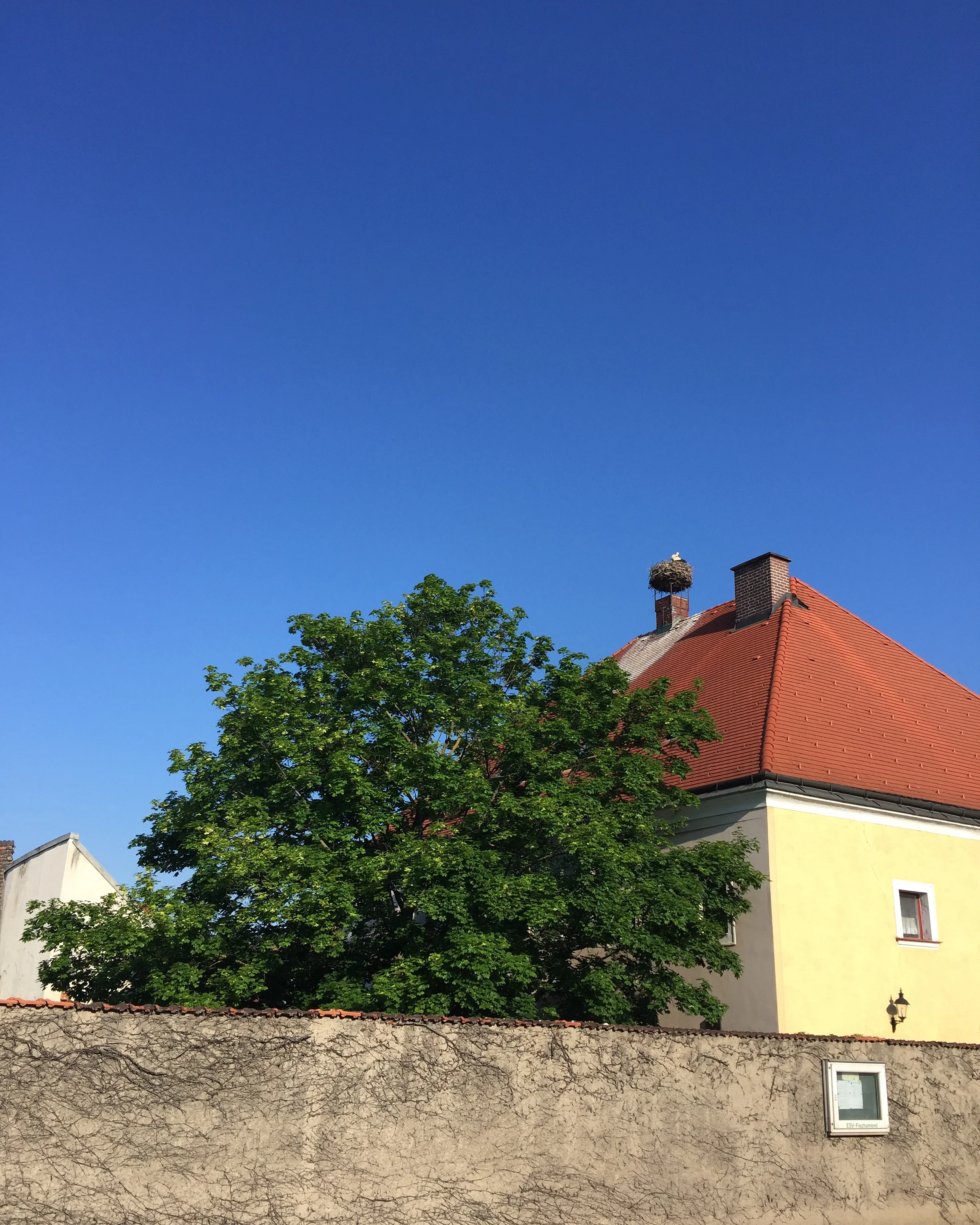 14th May 2017: Fischamend – Bad Deutsch-Altenburg, Austria