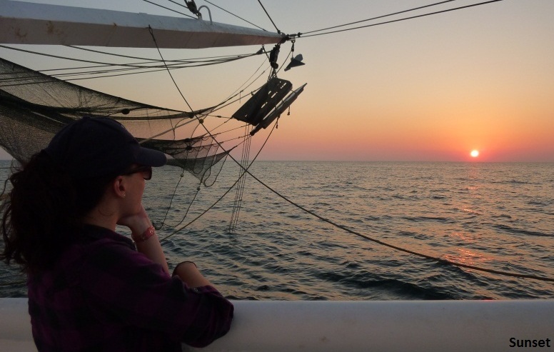 Technical Support and Observers for Southeast Fisheries and Science Center (SEFSC)