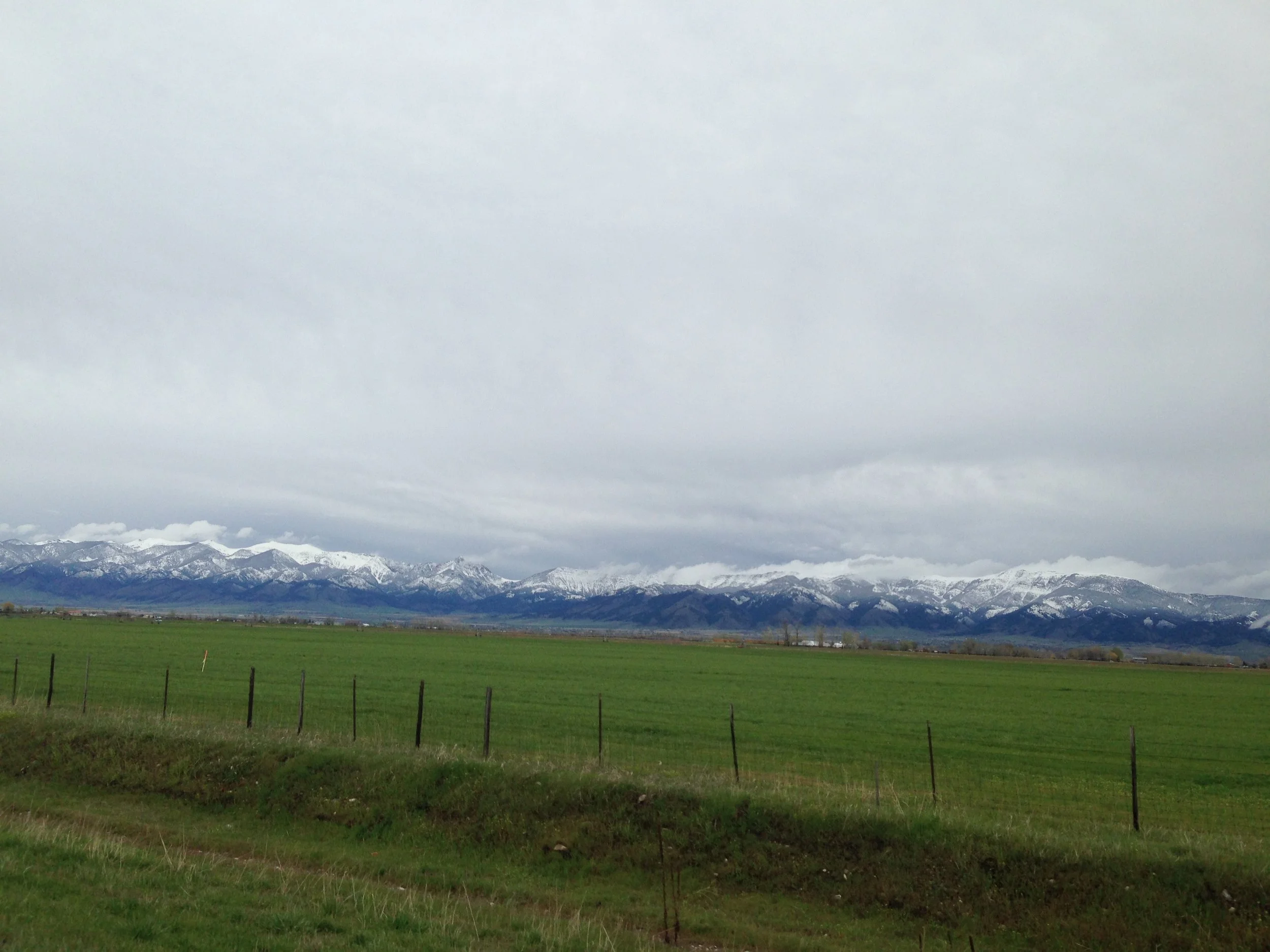 2014-05-09 16.24.42.jpg