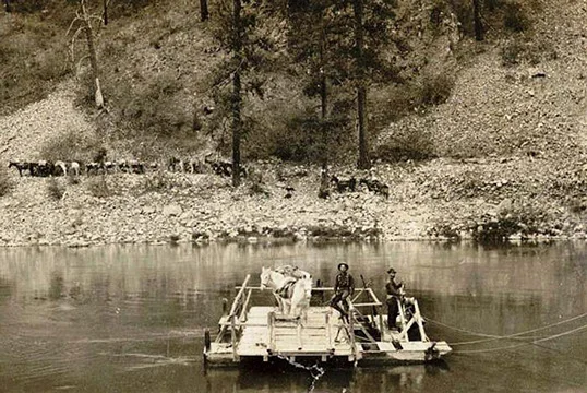 William Campbell’s Ferry to haul livestock and goods in 1900