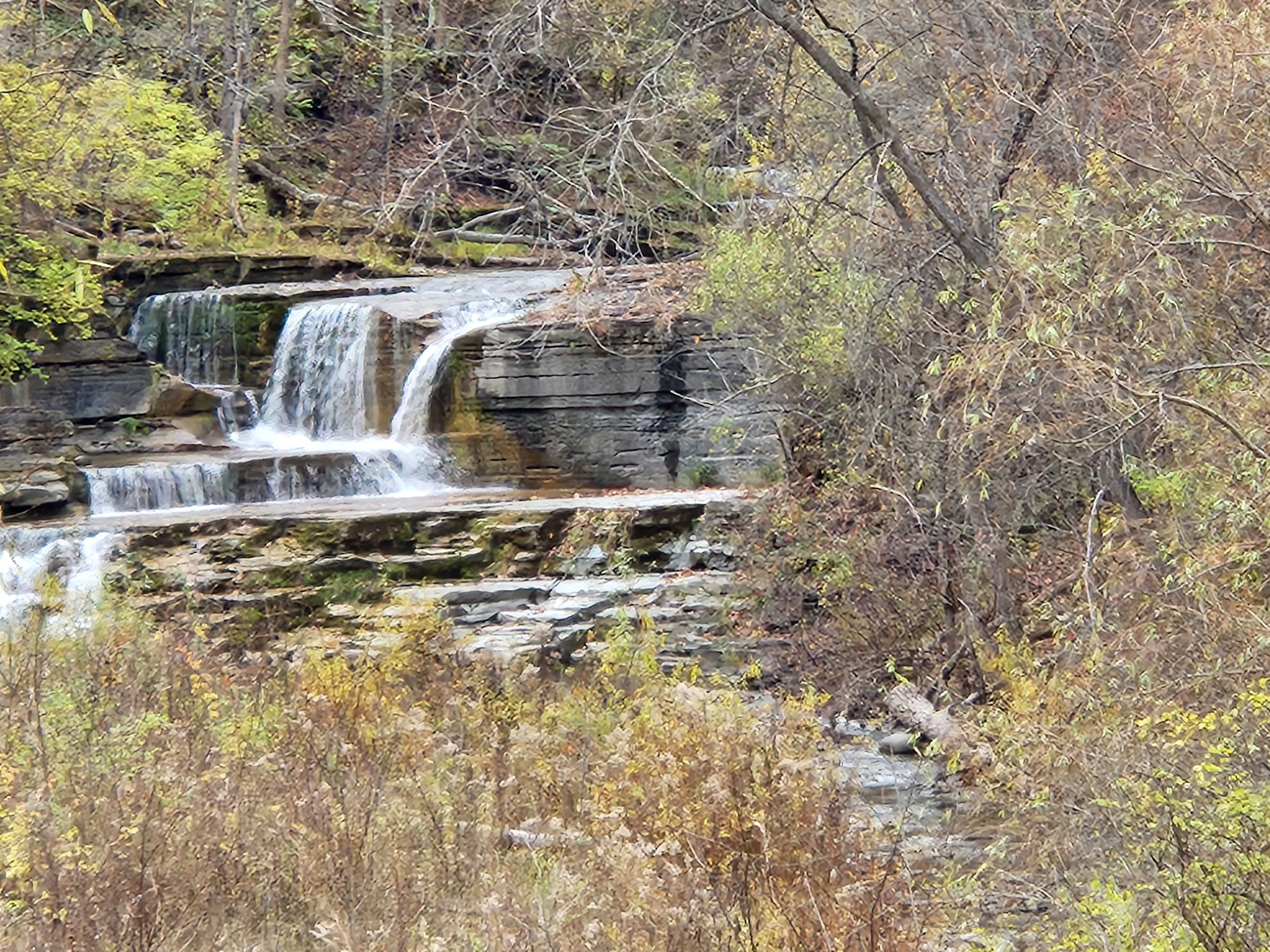 20251103_140137.jpg