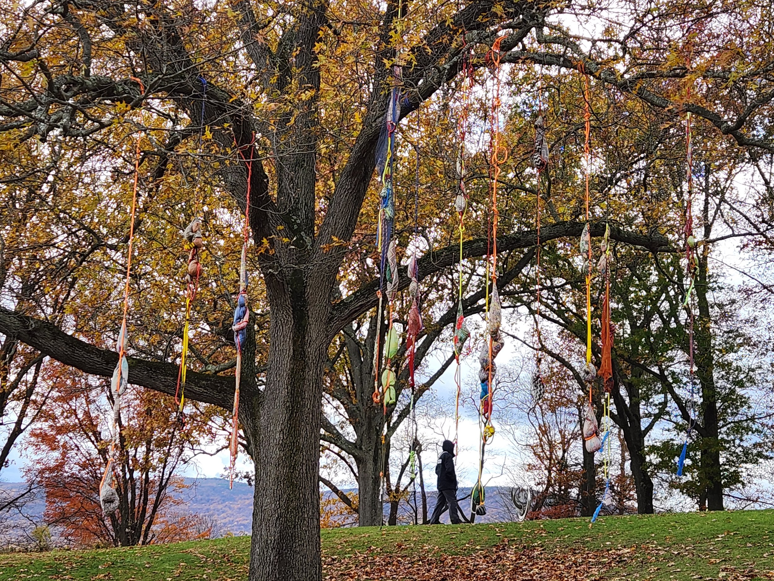 20251106_133019.jpg
