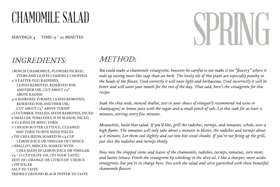 chamomile salad.png