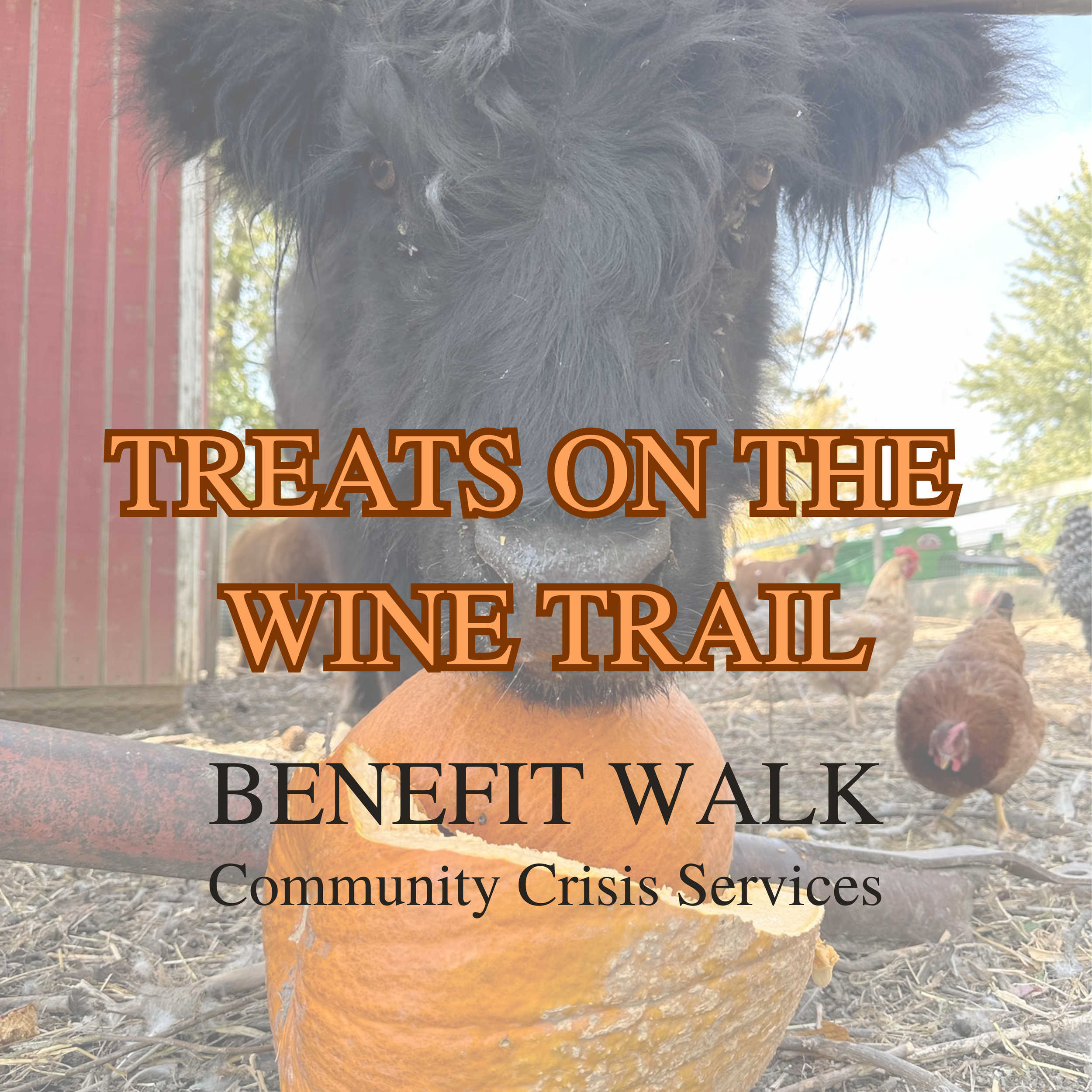 Treats on the Wine Trail Benefit for CommUnity Crisis Services