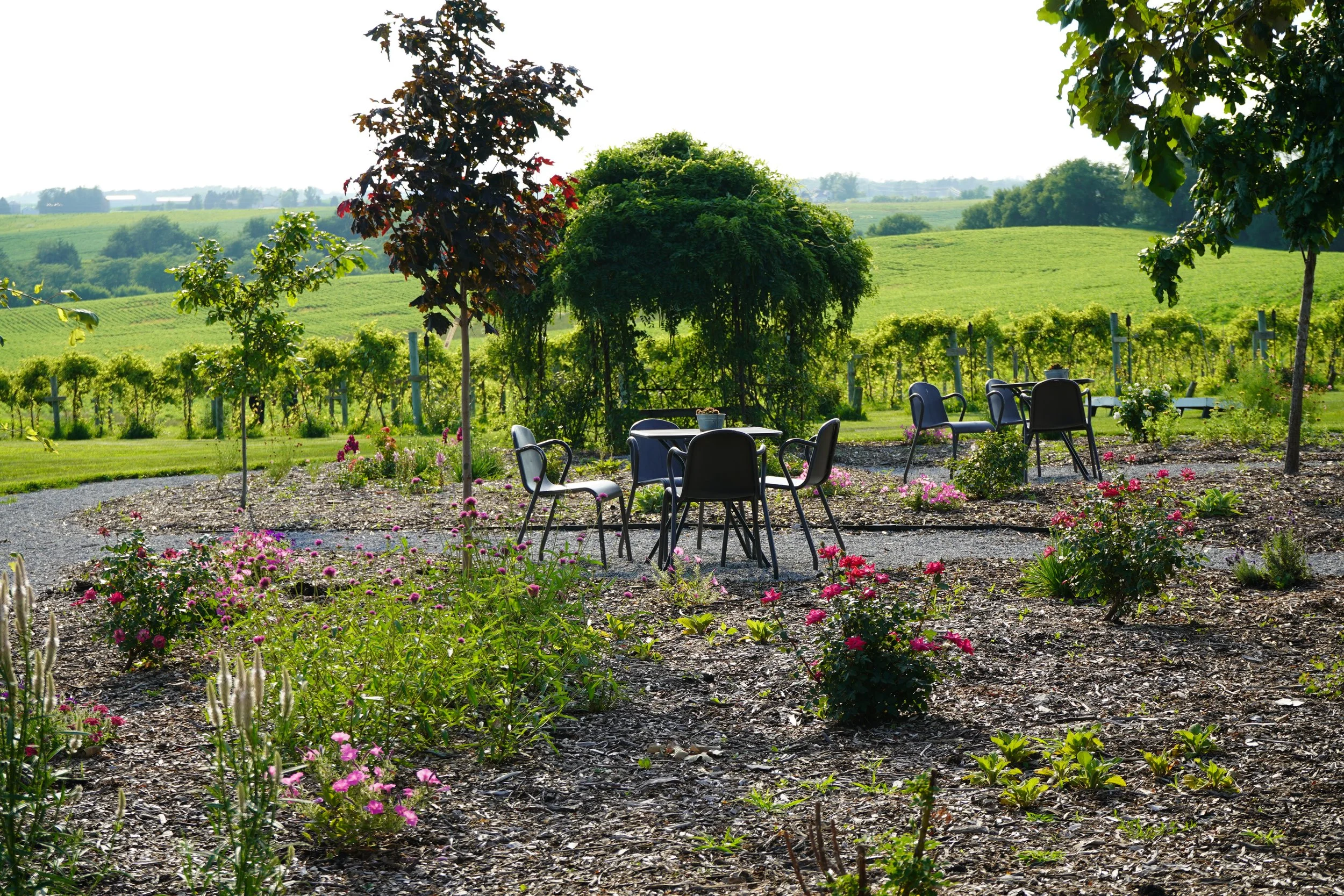 Jane Austen Garden