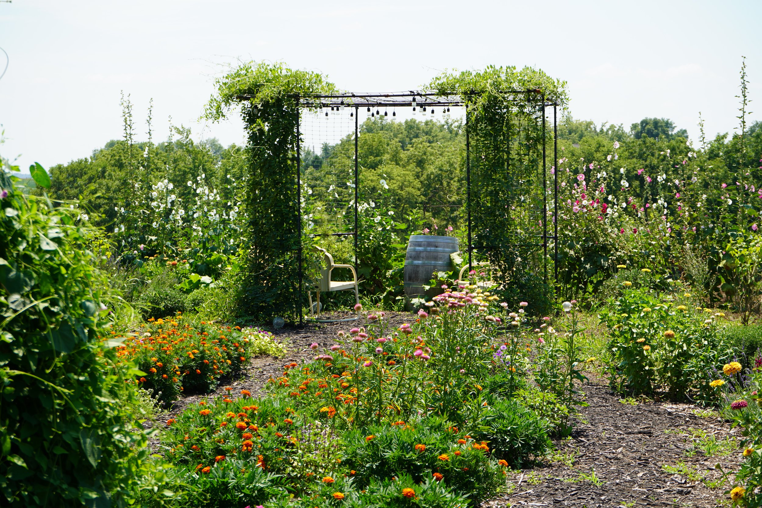 Foundation Garden