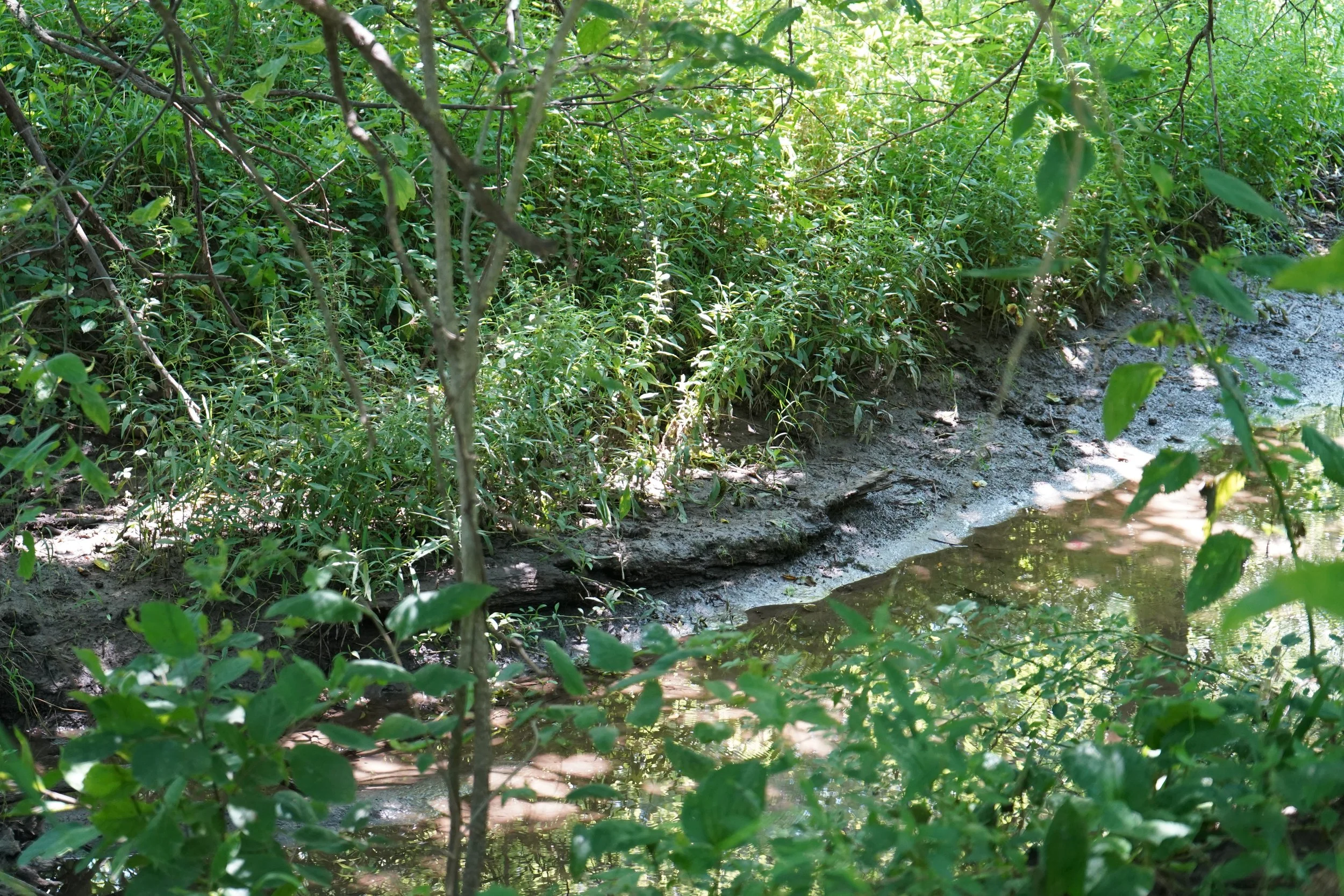 DSC04628.JPG