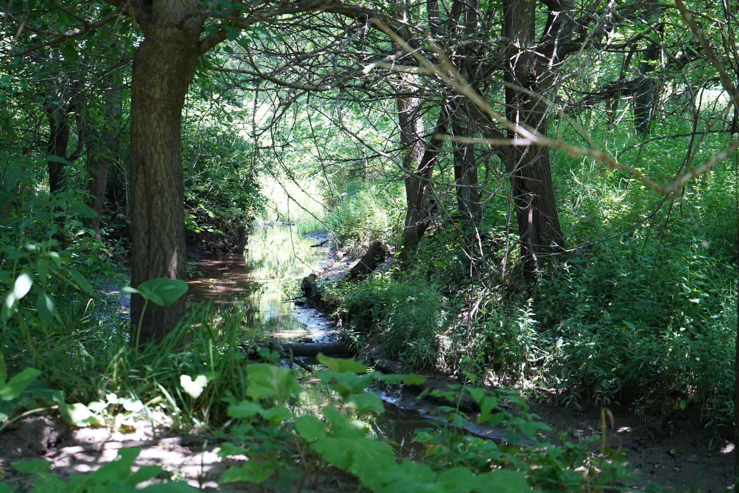 DSC04630.JPG