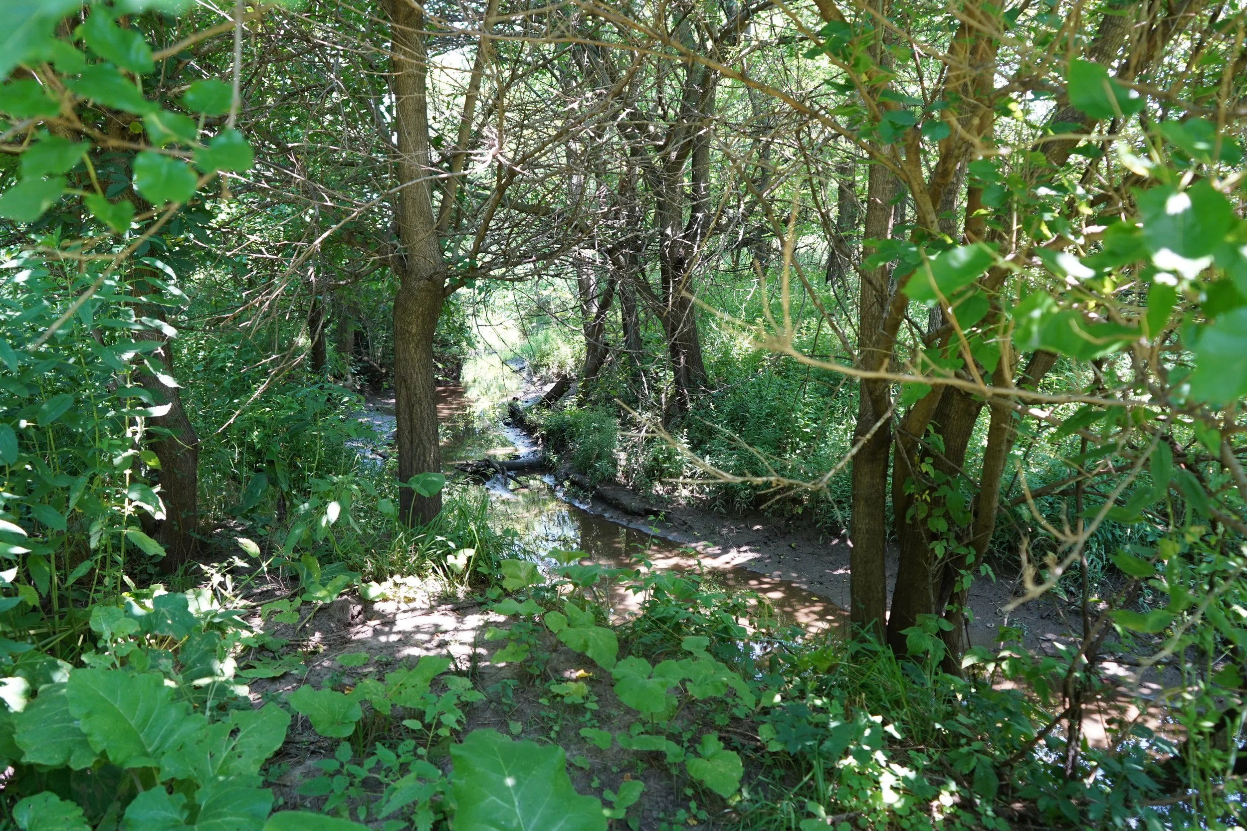 DSC04638.JPG