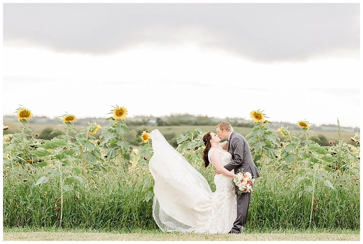walker-homestead-wedding-iowa-city-photographer-fieldstone-white-ivy-events_0140.jpg