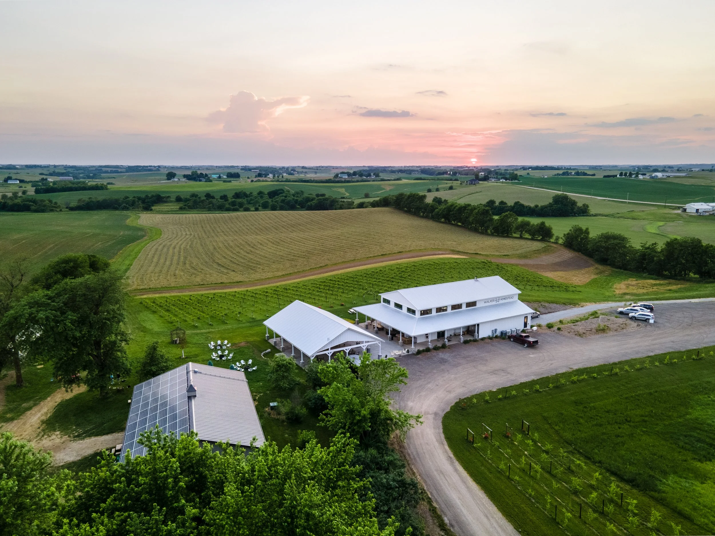 Walker Homestead Drone (June 2021)-1 (1).jpg