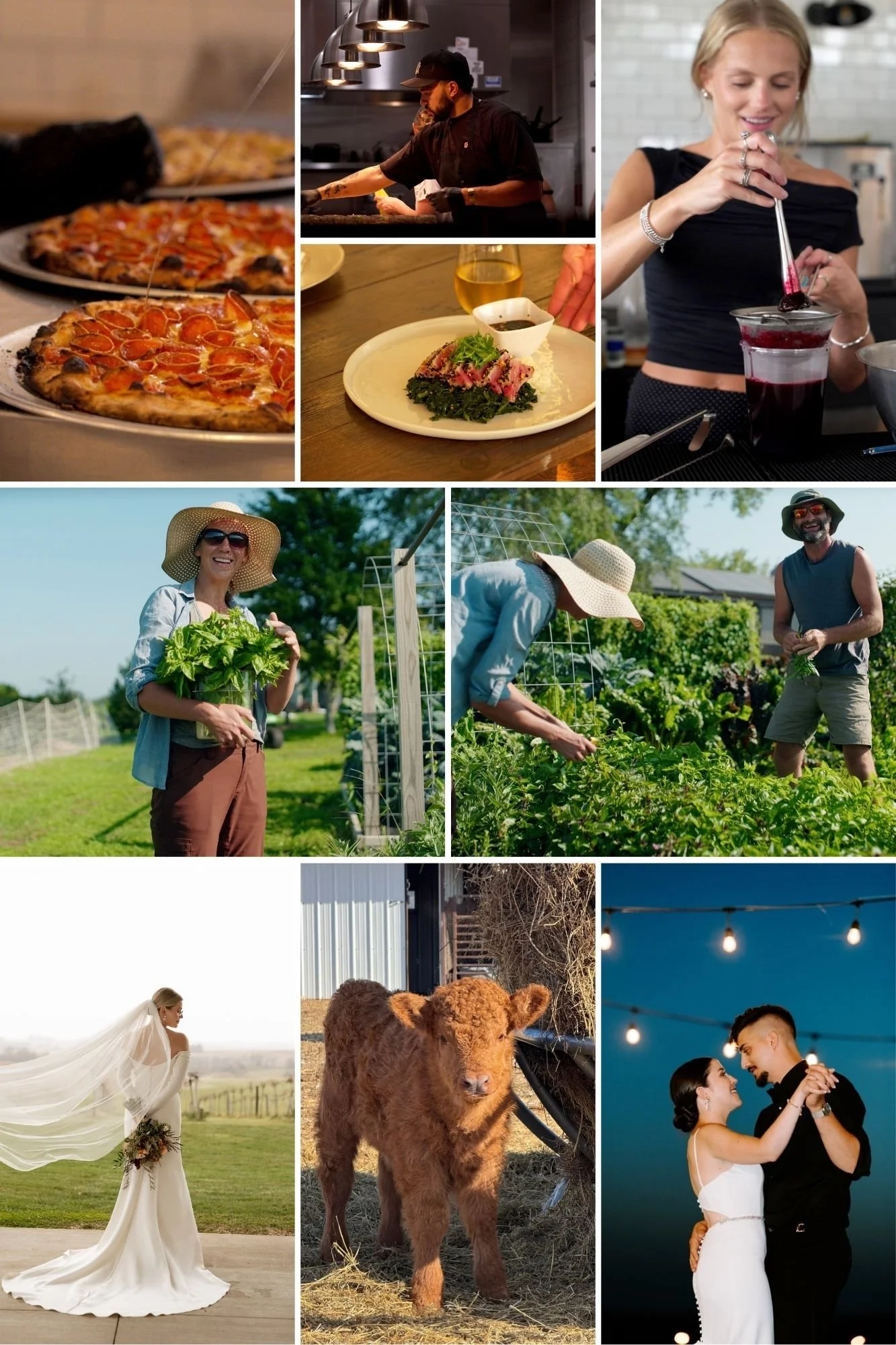 Collage of outdoor farming and gardening activities with people harvesting crops, a young woman in a wedding dress holding a bouquet, a young couple dancing at night under string lights, a chef preparing food in a restaurant, people enjoying a meal with wine, and a young woman with a young calf