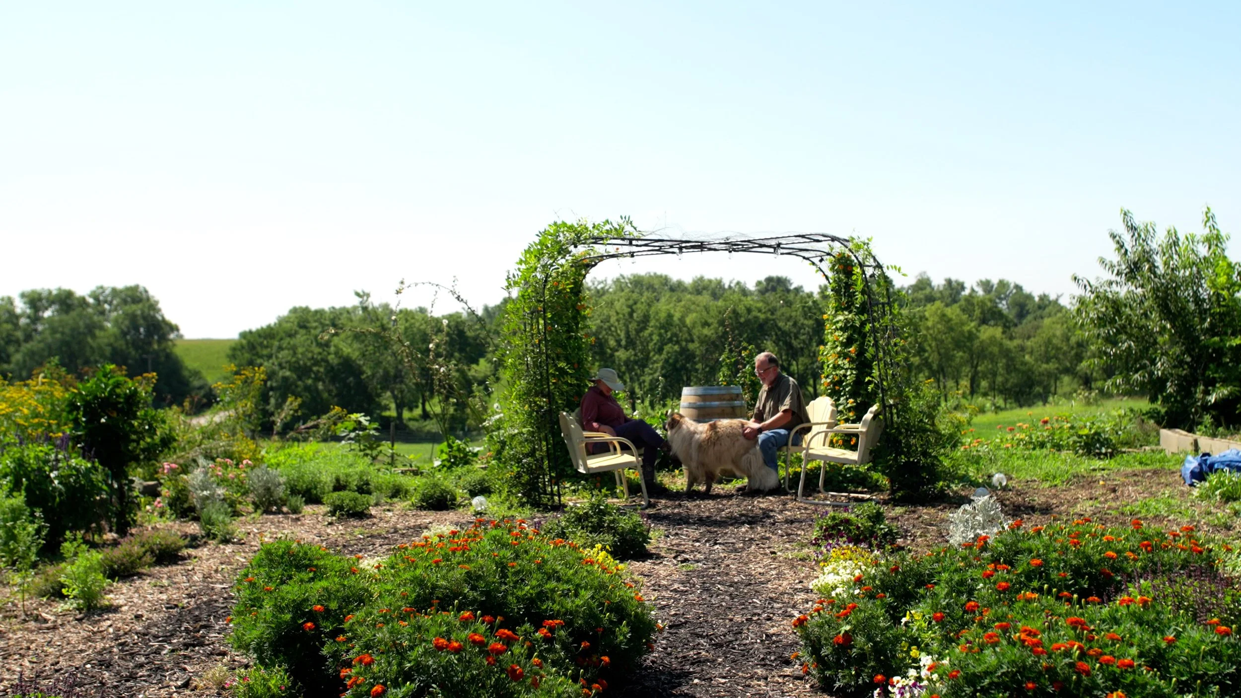 Two people sit on white benches under a decorated garden arch, petting a large fluffy dog, surrounded by lush green plants and colorful flowers, with trees and a blue sky in the background.