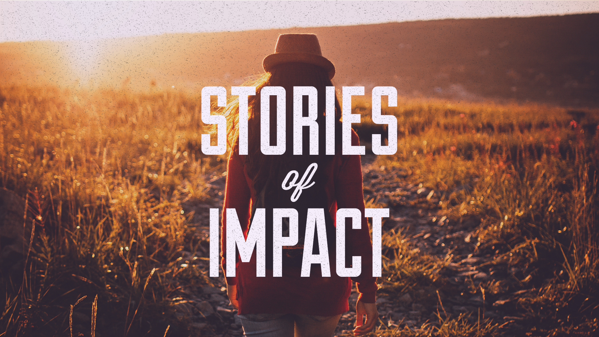 Stories of Impact Hero.png