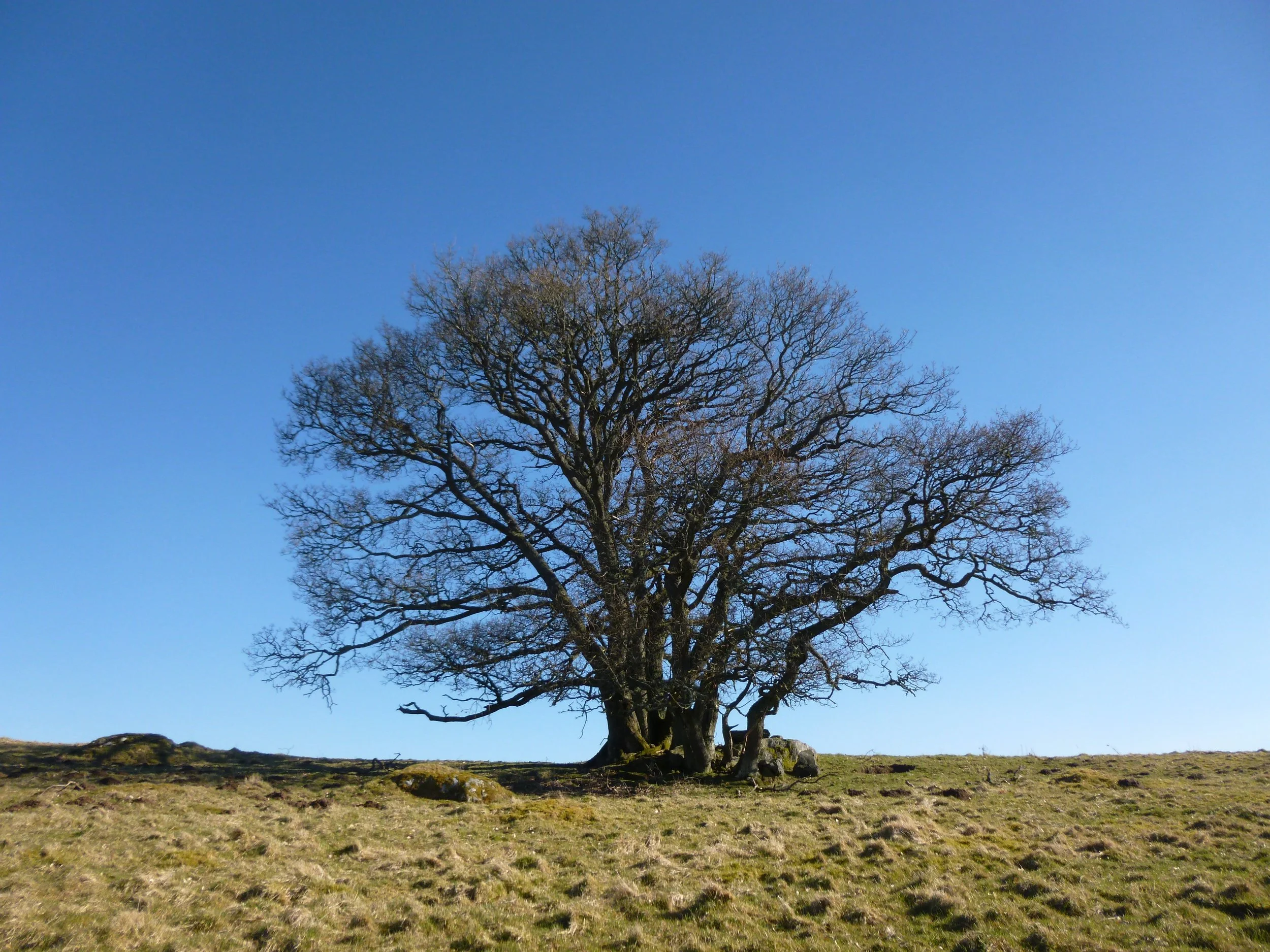 I have a new website!