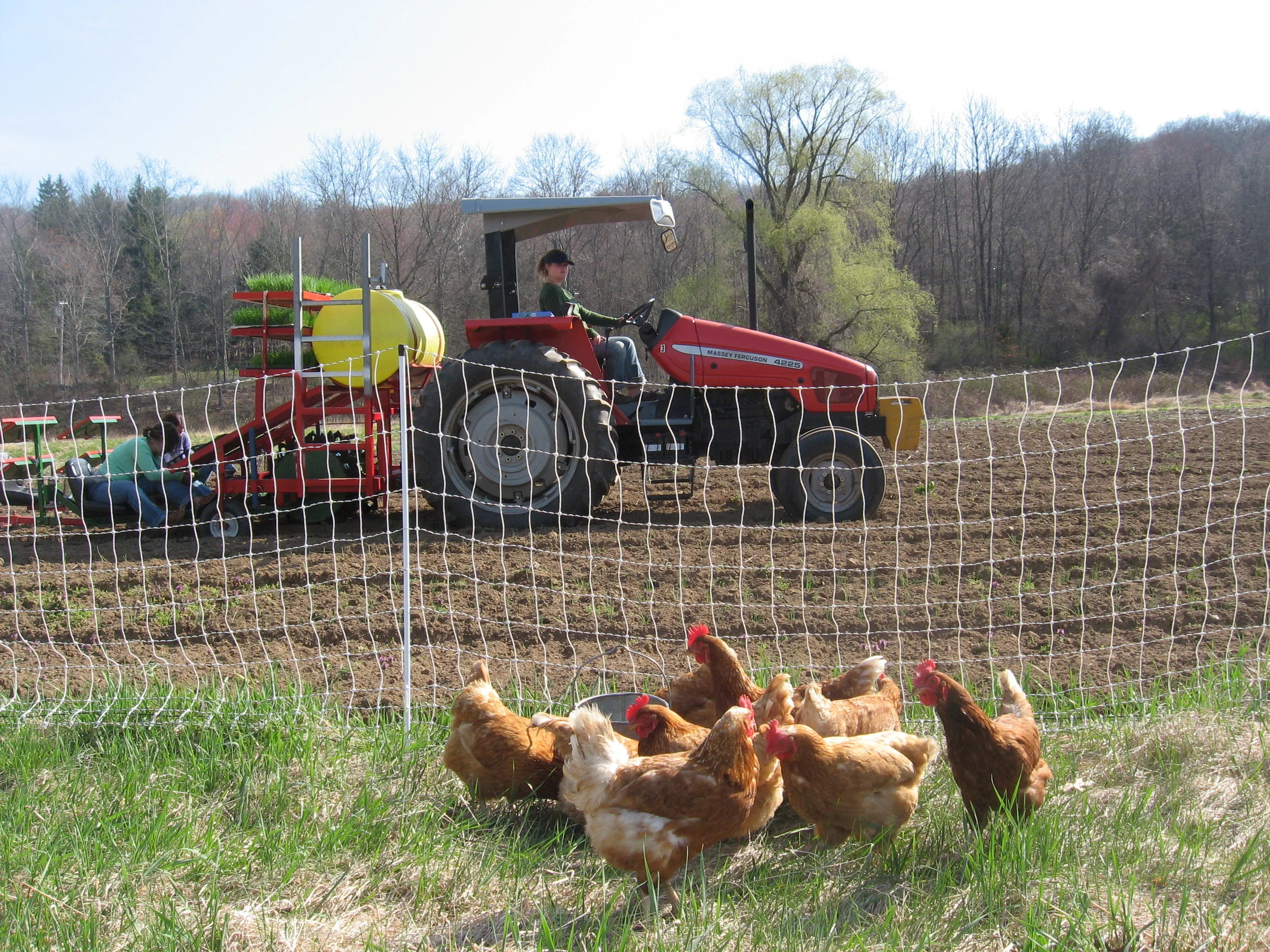 lily and alice 2008 078.JPG