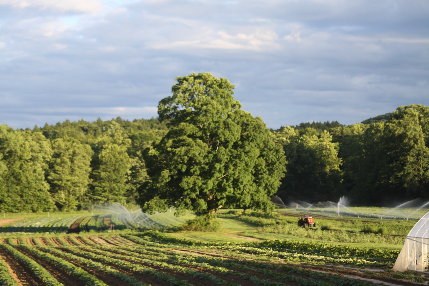 About — Riverbank Farm