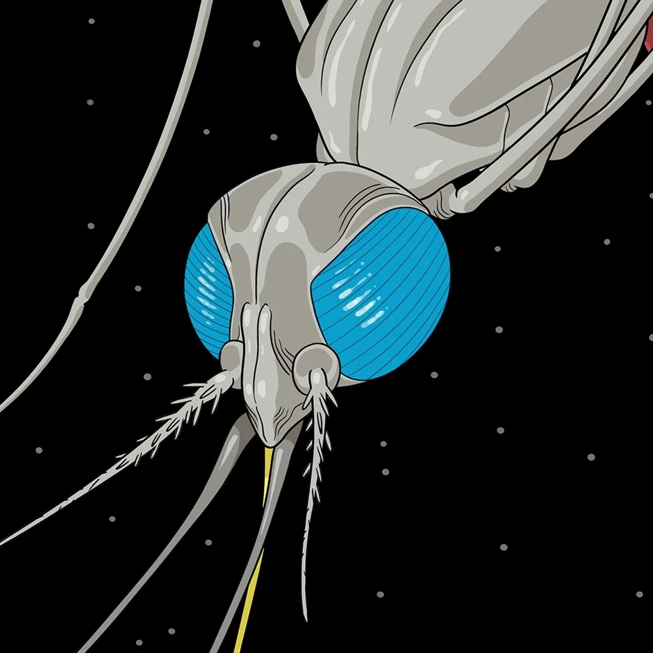 NYTMK_MOSQUITO_COV_V3.jpg