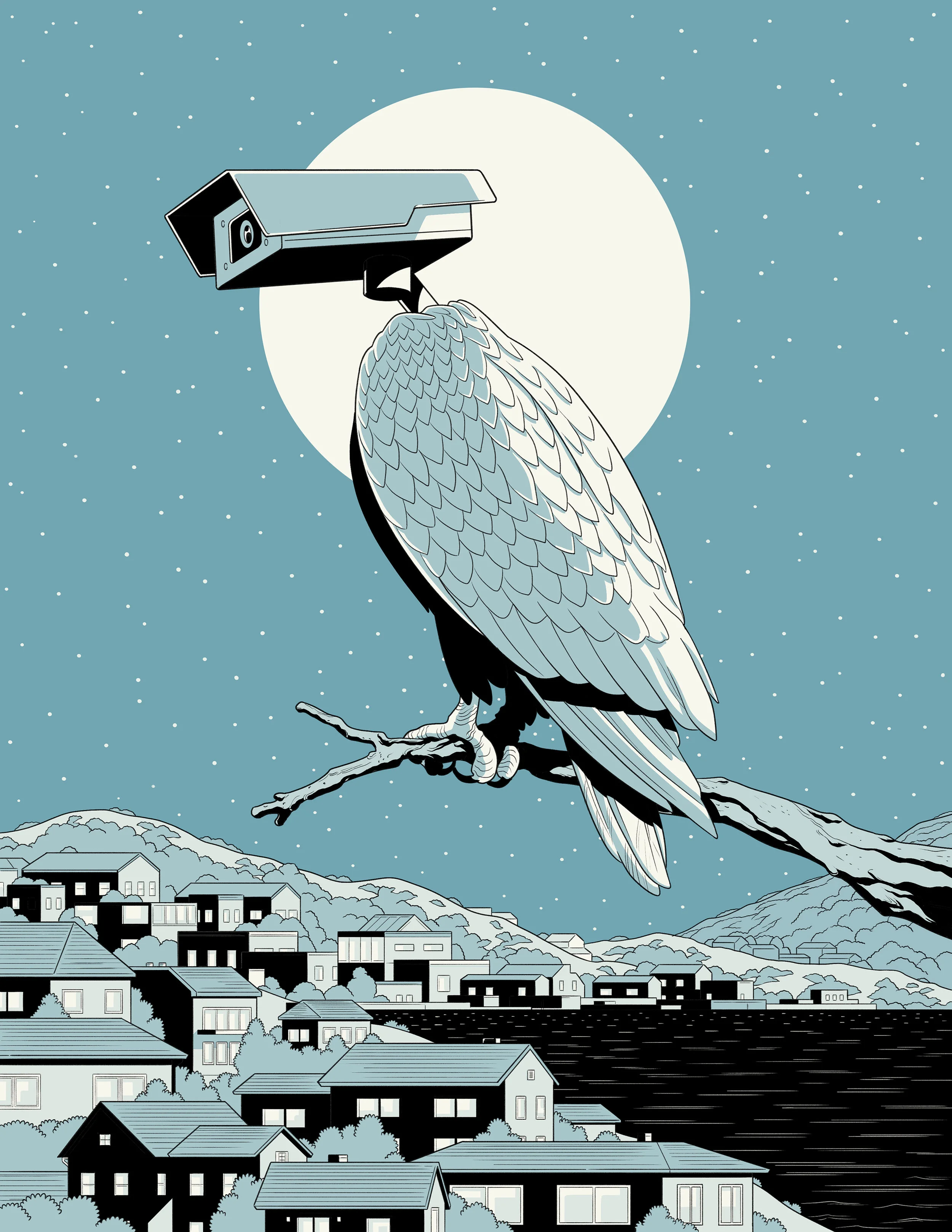BIRD_F.jpg