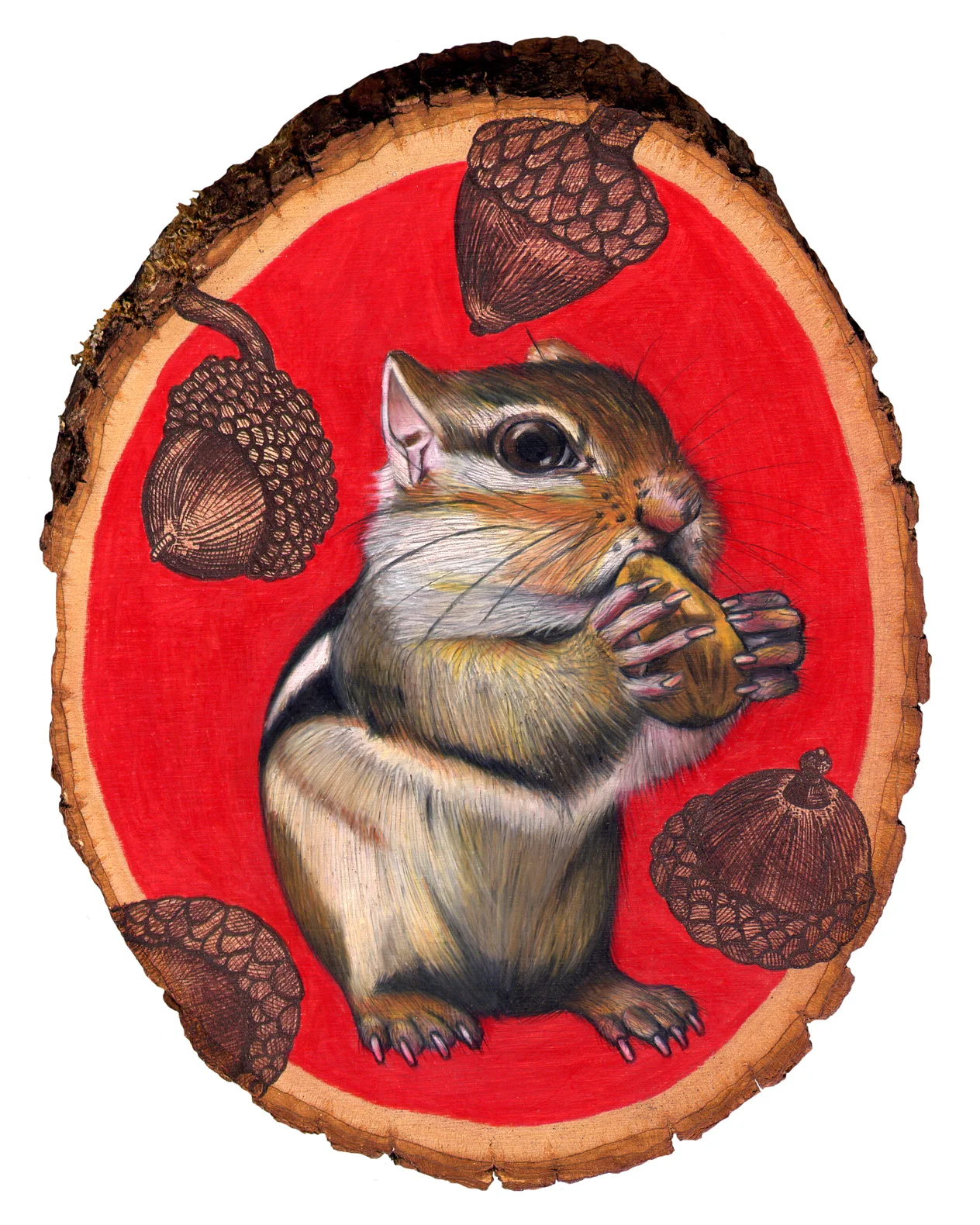 chipmunk 8x10.jpg