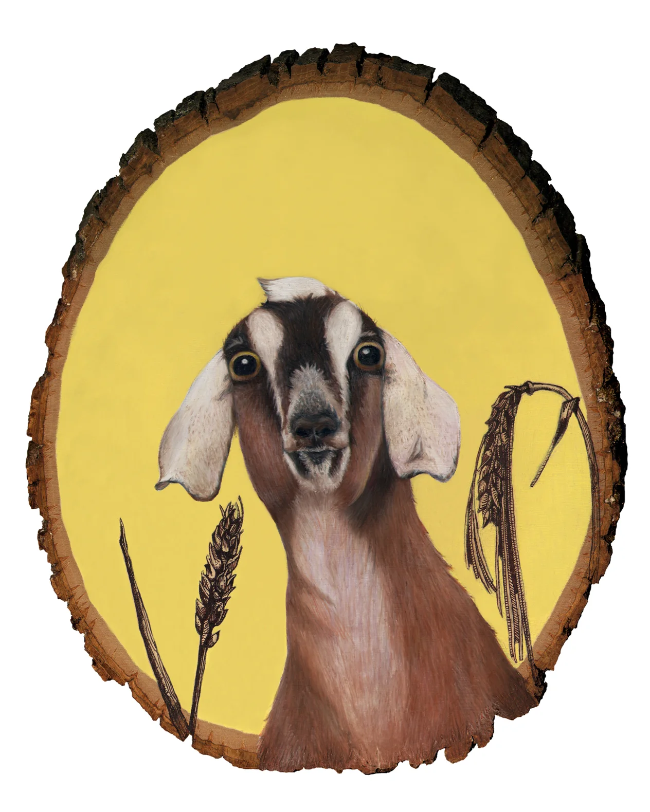 goat8x10.jpg