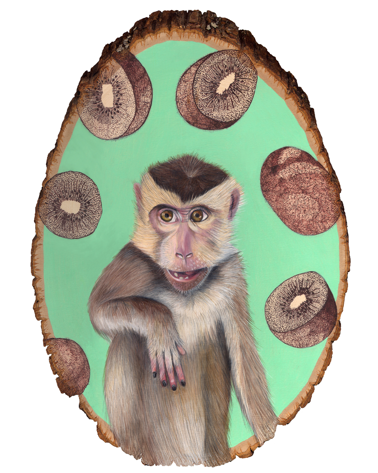 monkey 8x10.jpg