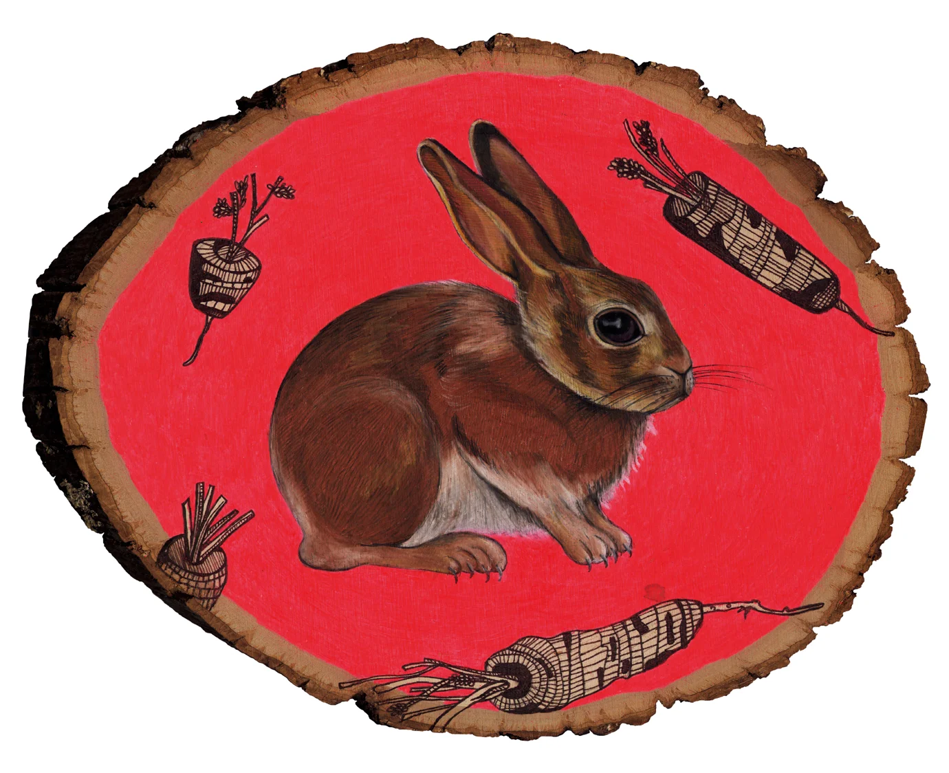 rabbit kodak 8x10.jpg