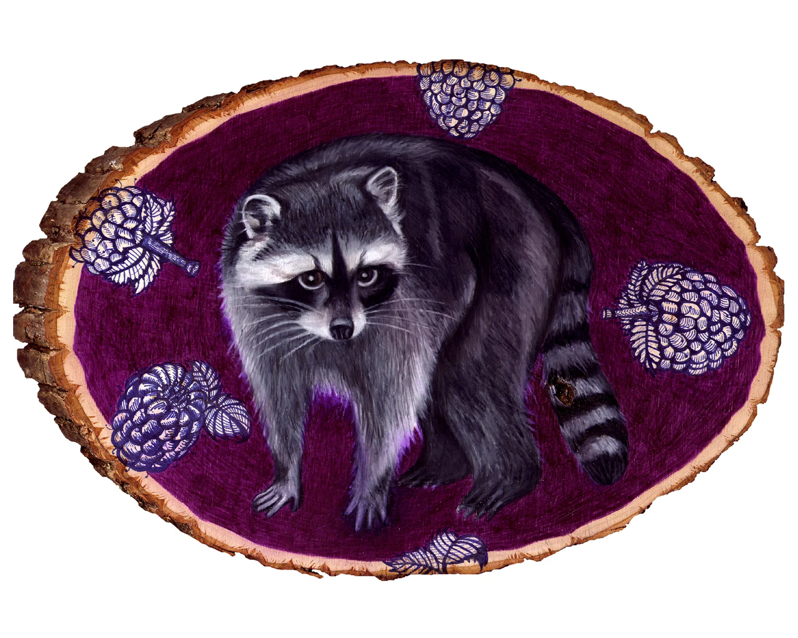 raccoon 8x10.jpg
