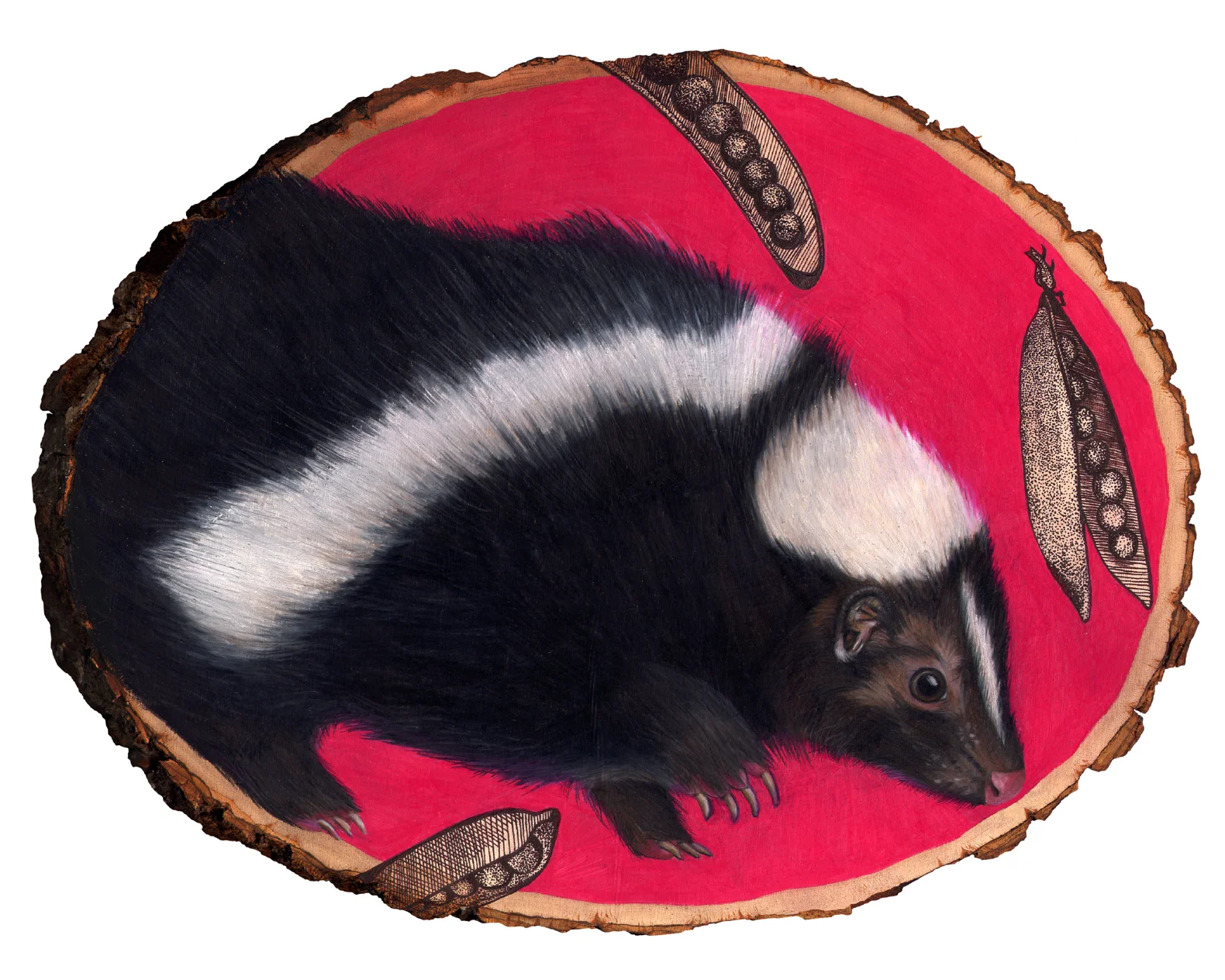 skunk 8x10.jpg