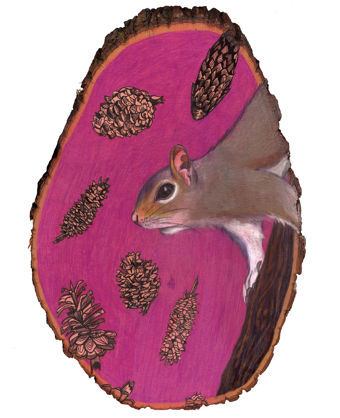 squirrel kodak 8x10.jpg