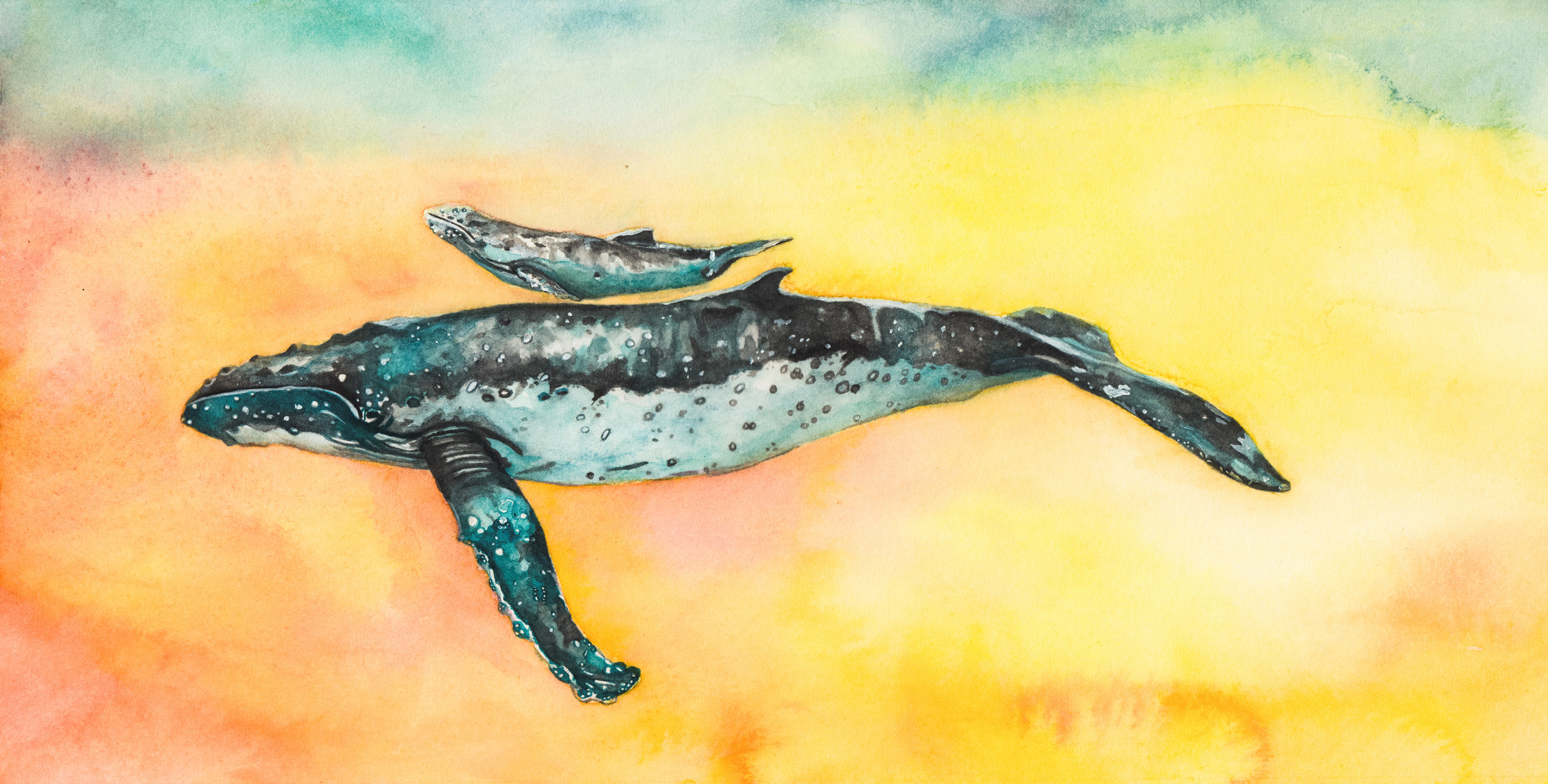 If we were humpback whales, swimming leagues across the sea, To always have you by my side, What an adventure that would be!