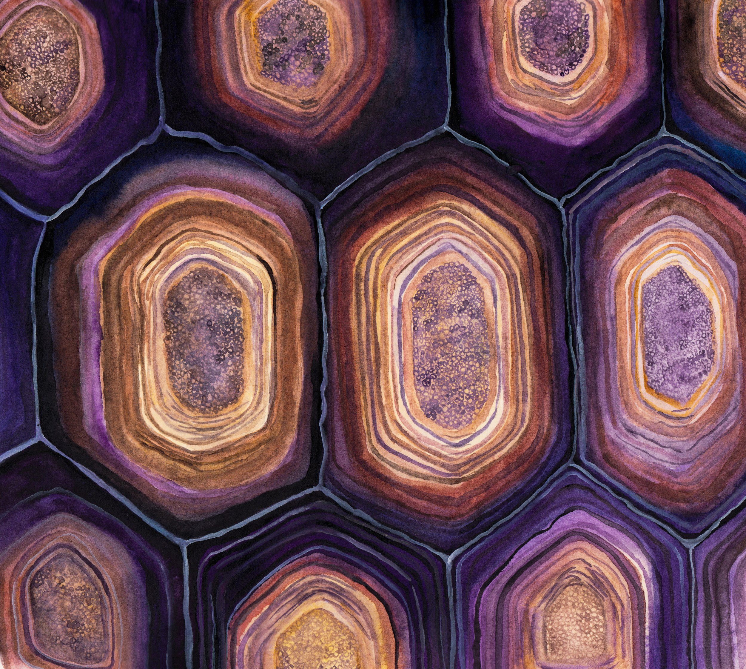 tortoise-shell-purples.jpg