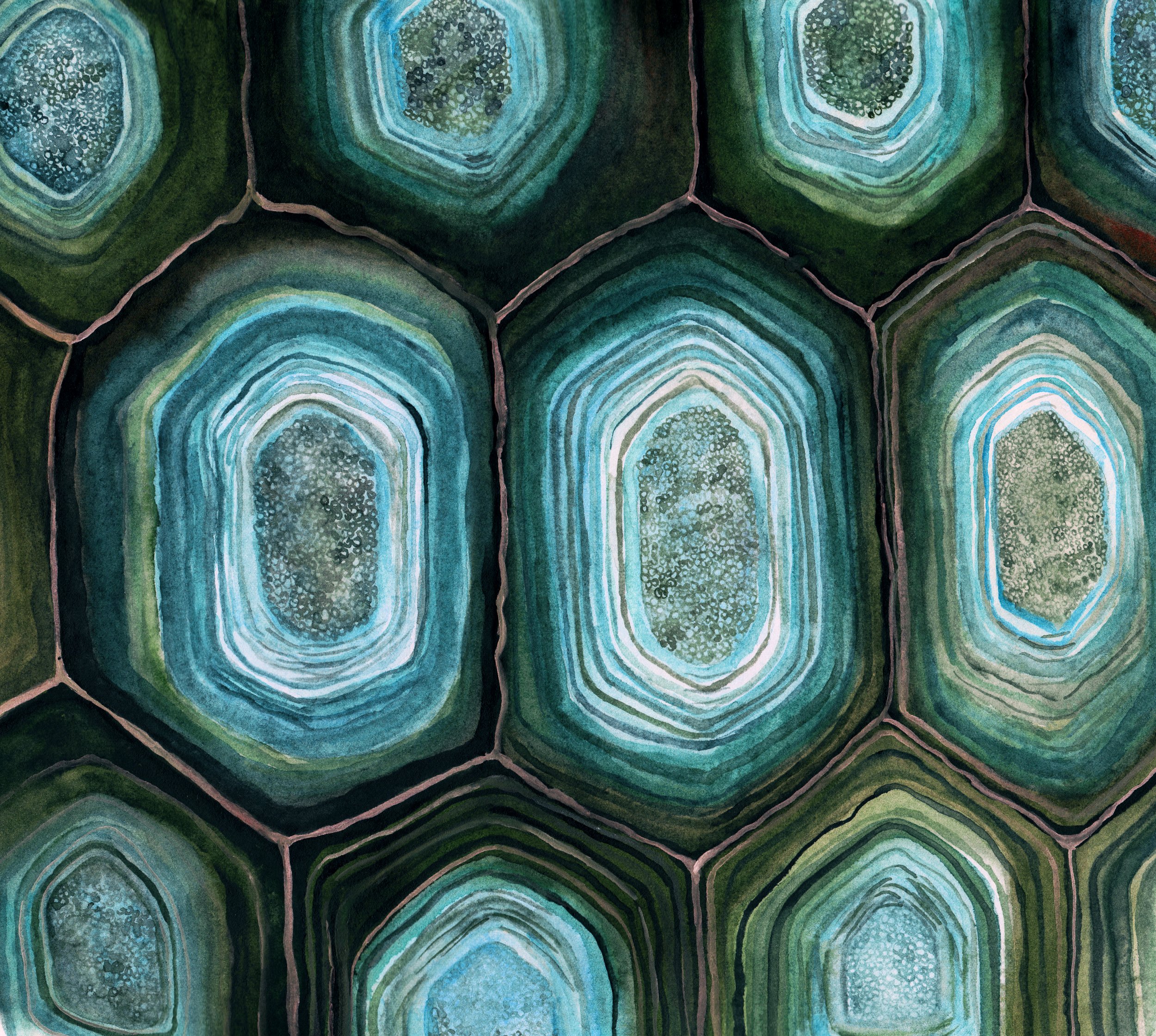 tortoise shell-greens.jpg