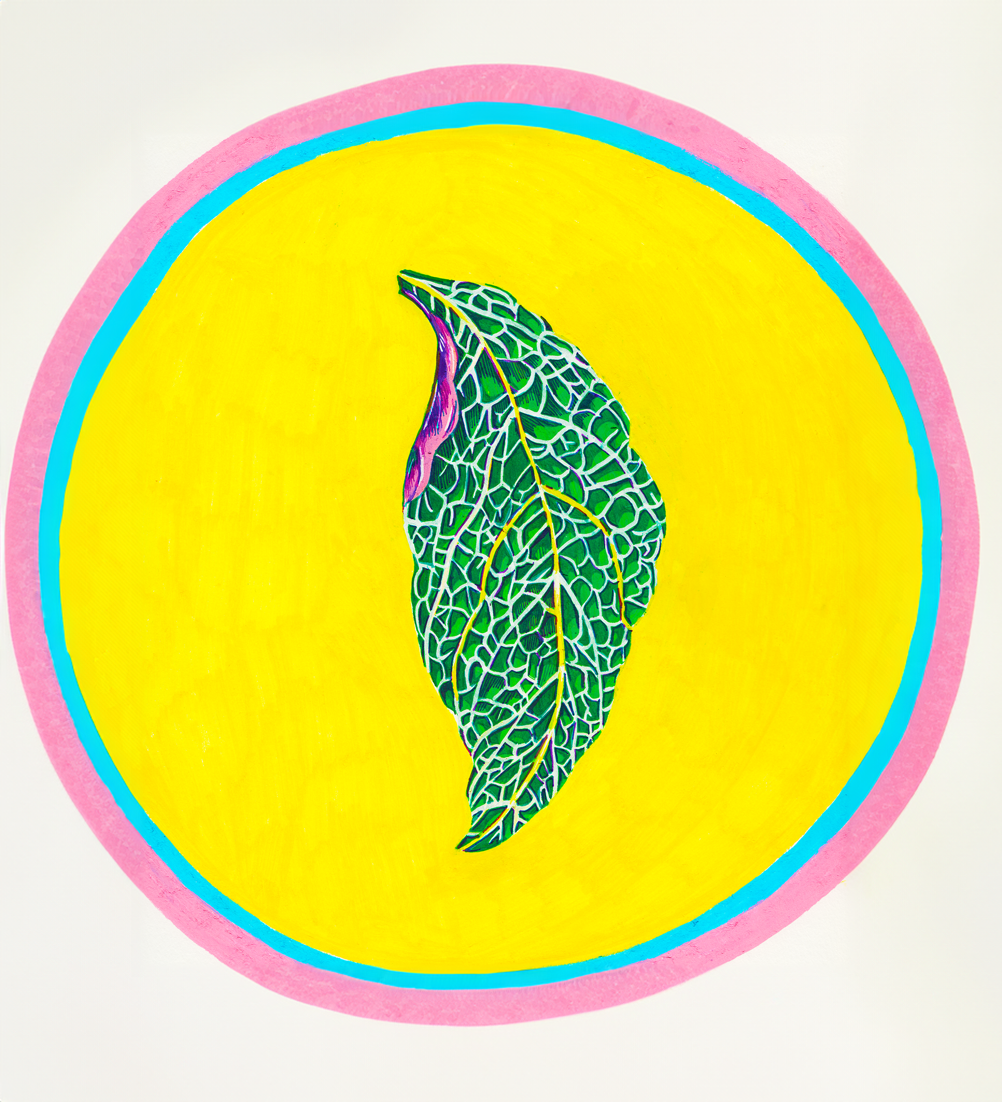 Leaf with rings expanded copy.png