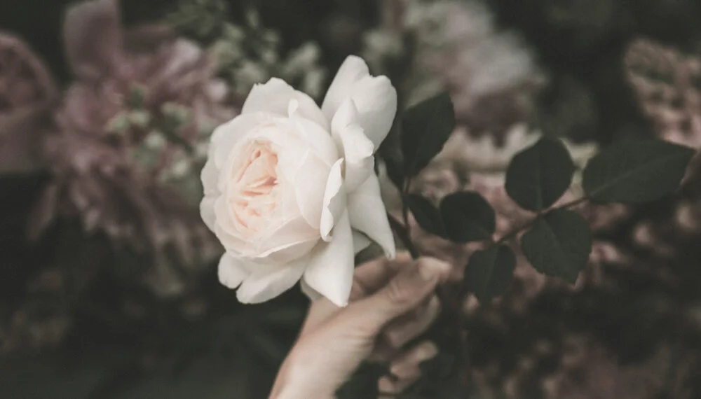 anita-austvika-Hnj3Jz5sK9Y-unsplash.jpg