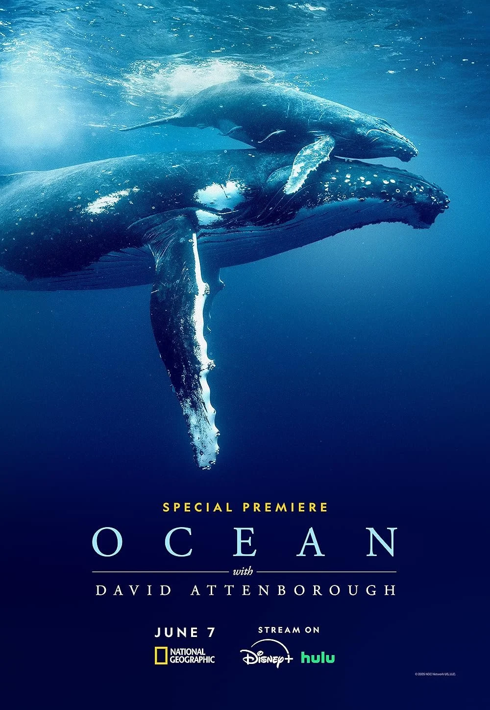  Free Premiere of&nbsp;Ocean&nbsp;By Sir David Attenborough Presented By Marine Conservation Institute 