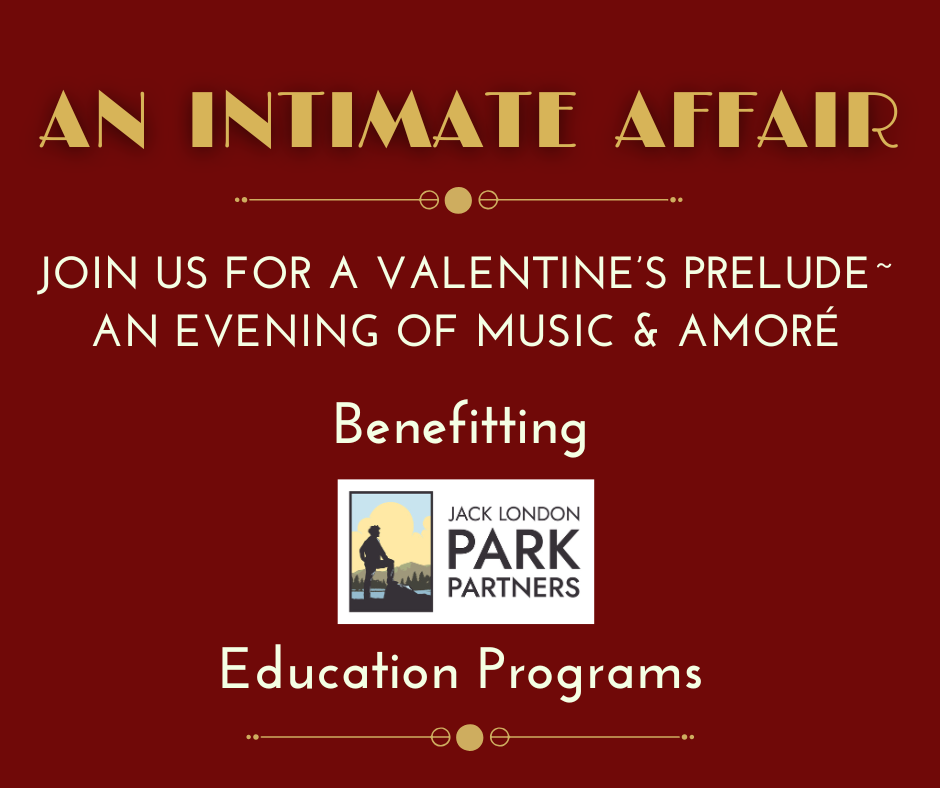 An Intimate Affair 