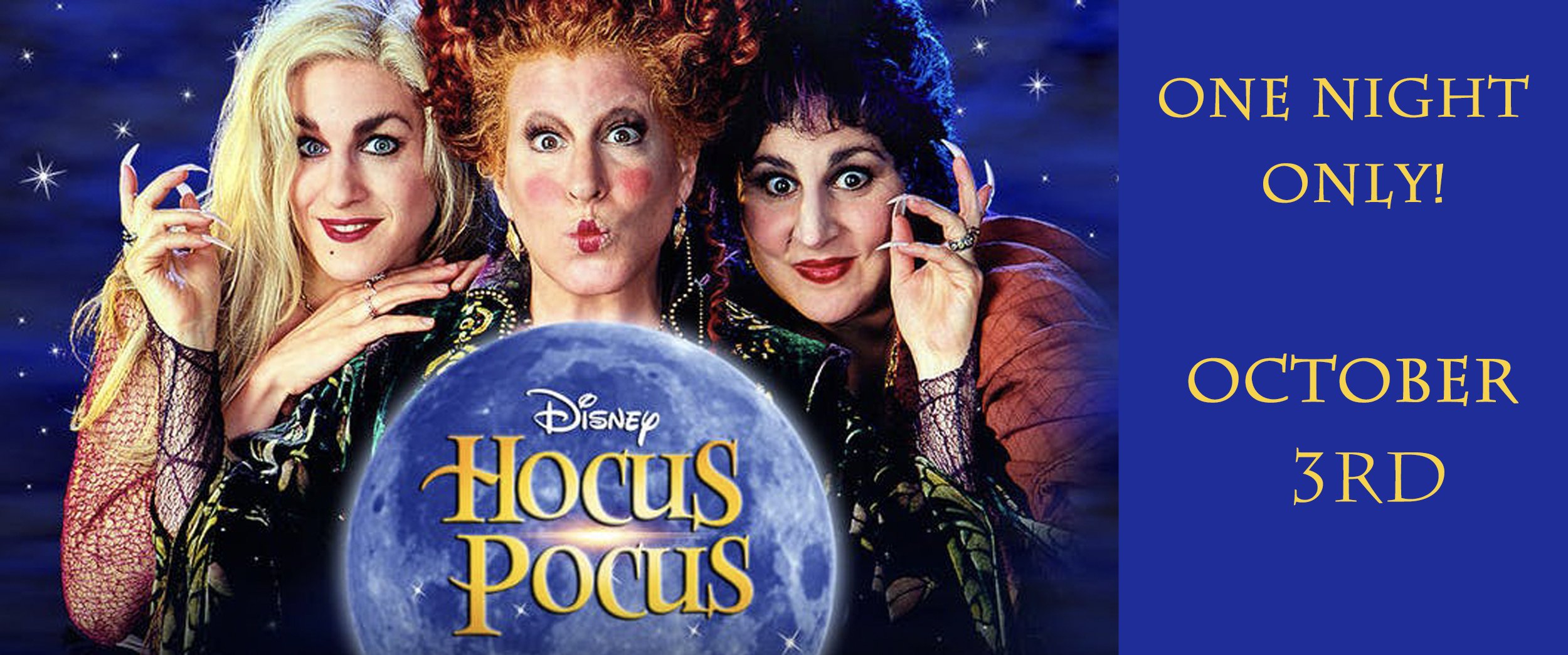 hocus.jpg