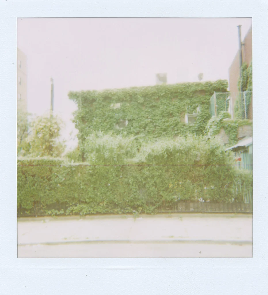 House in Brooklyn