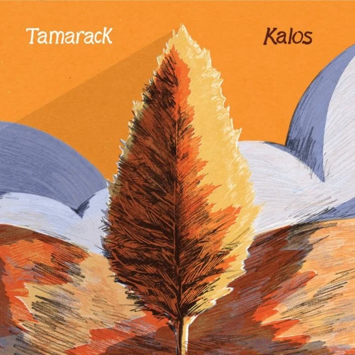 Today is #bandcampfriday - a good time to pre-order our new album, Tamarack, out October 9th. You can listen to the first single now and the second will magically be playable on September 11th, followed by the full album on October 9th.

*link in bio